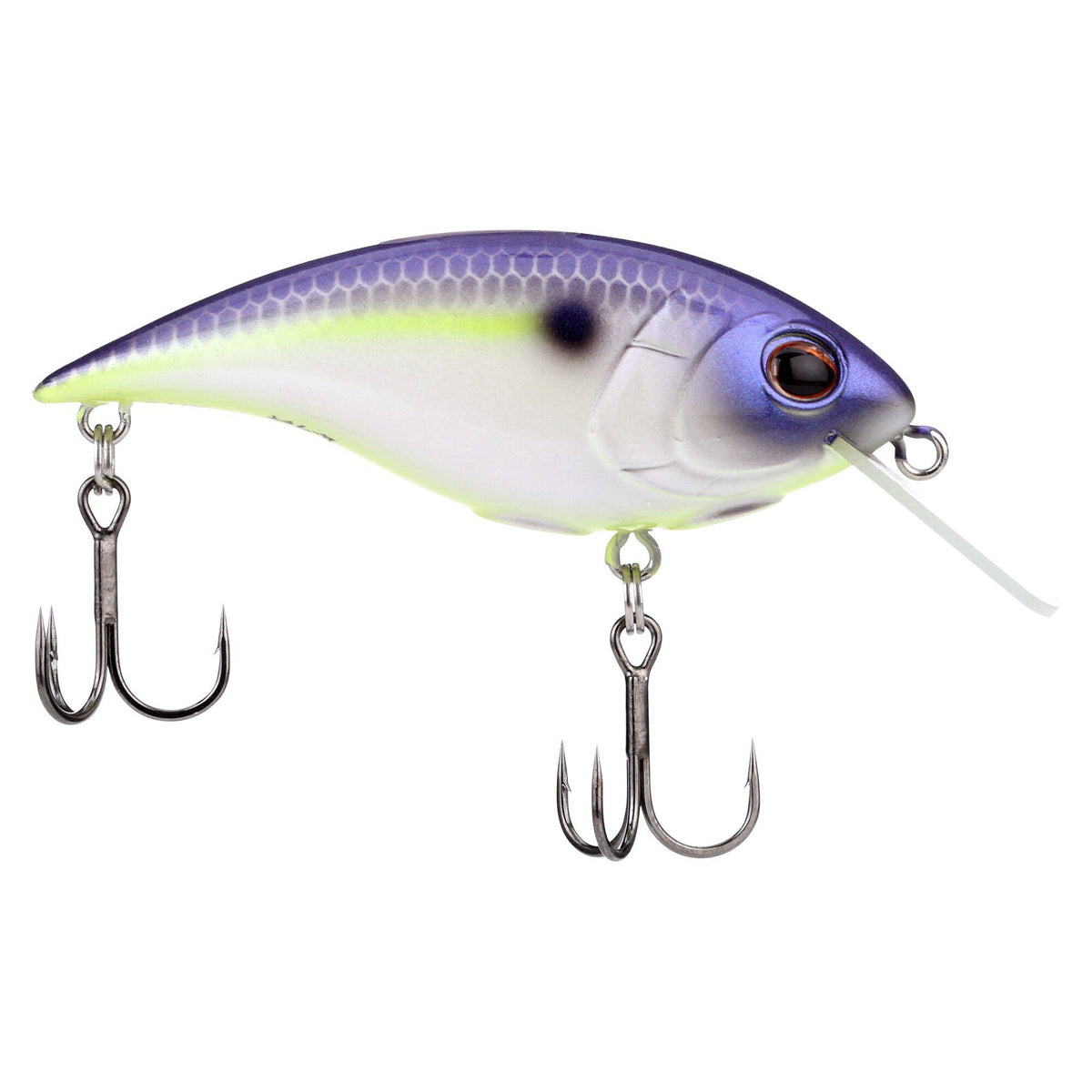 Berkley Shallow Money Badger
