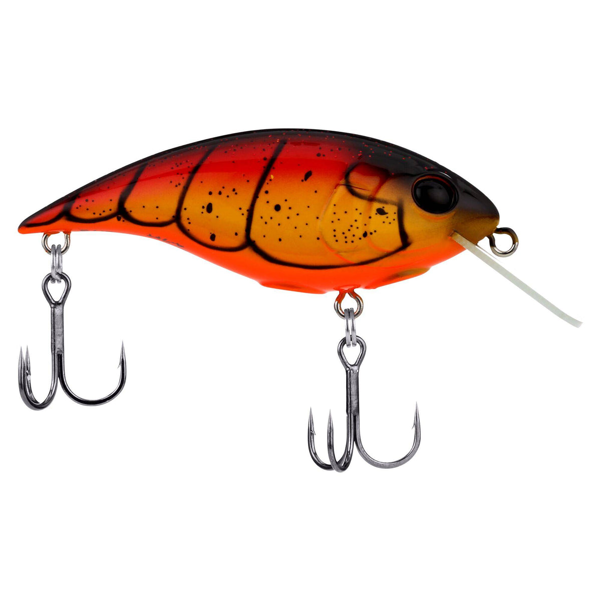 Berkley Shallow Money Badger
