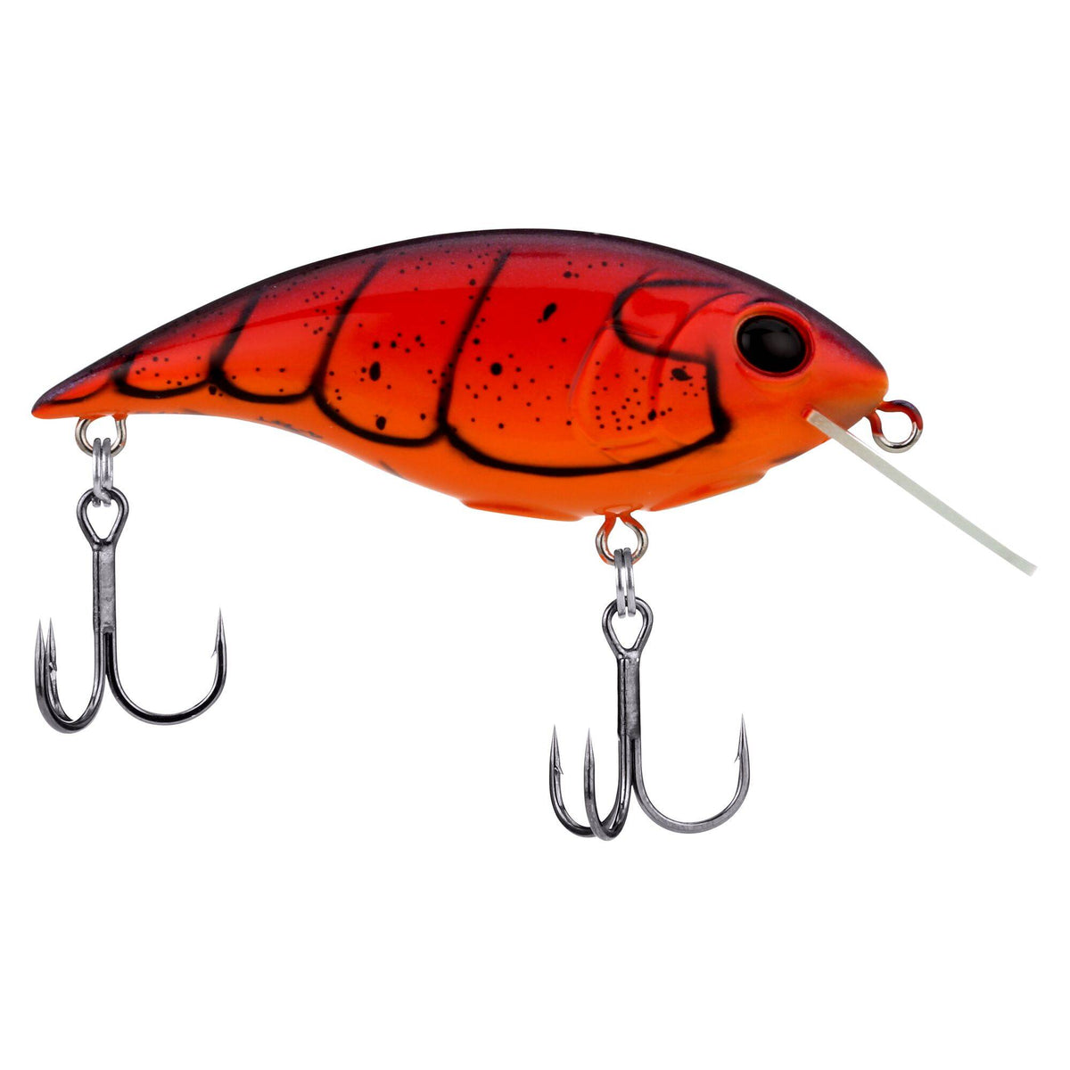 Berkley Shallow Money Badger
