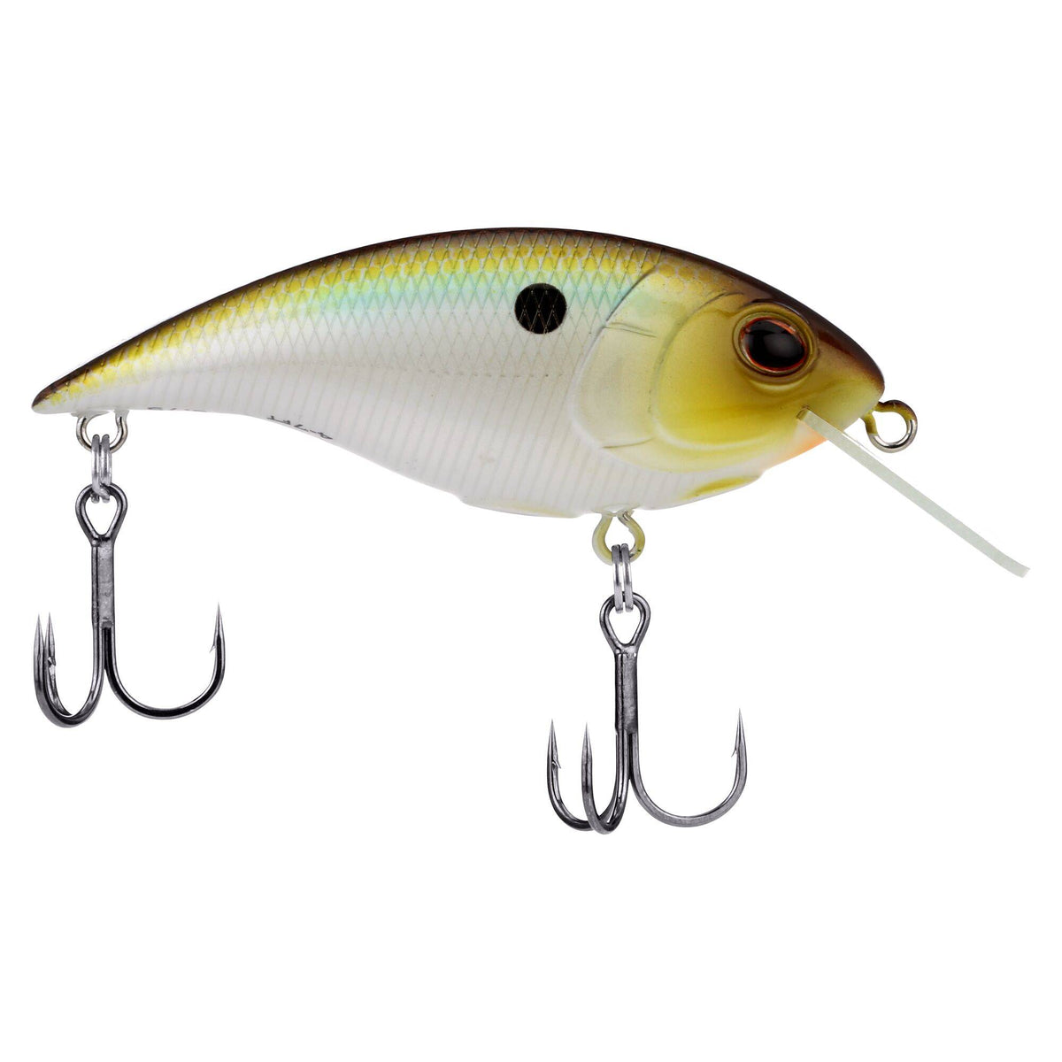Berkley Shallow Money Badger