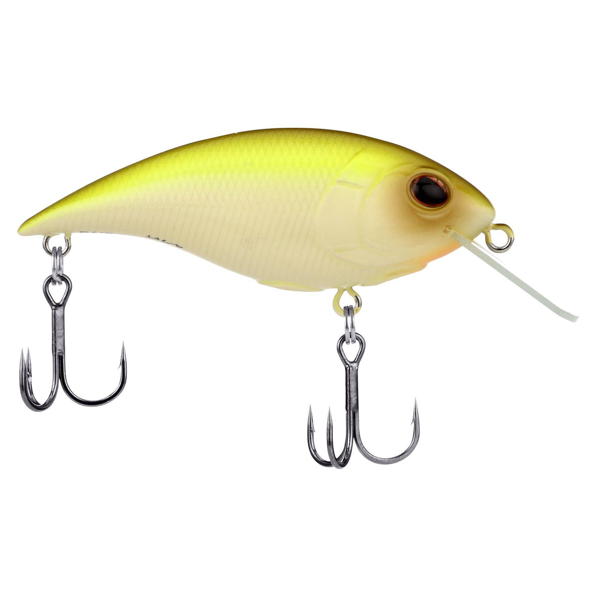Berkley Shallow Money Badger