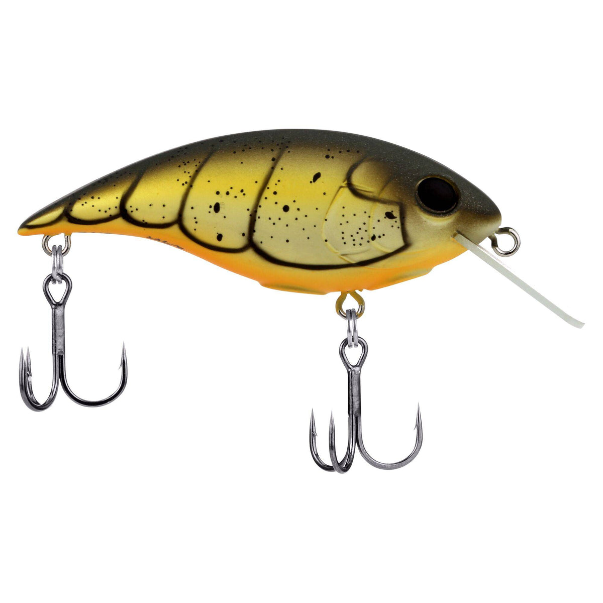 Berkley Shallow Money Badger