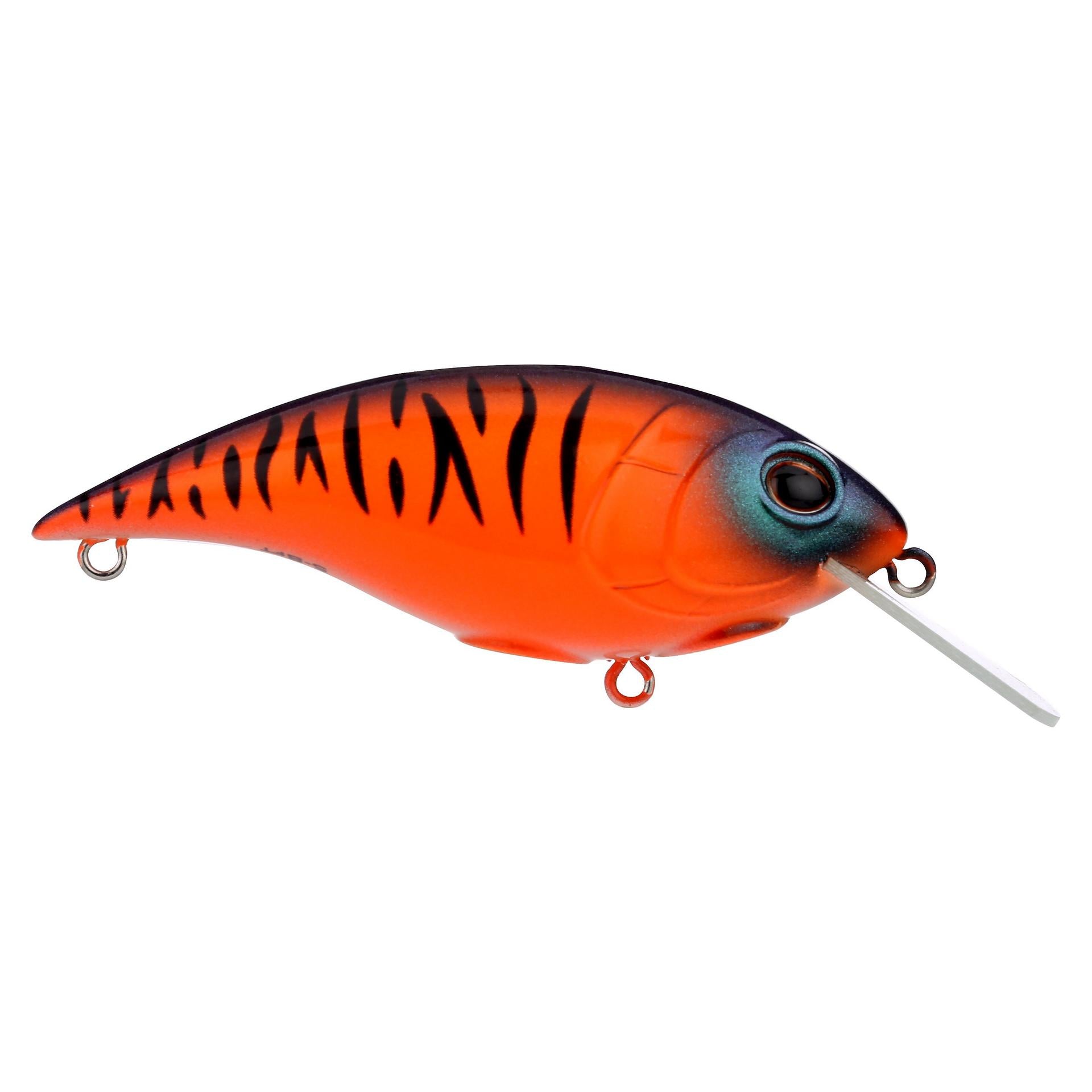 Shallow Money Badger| Berkley®