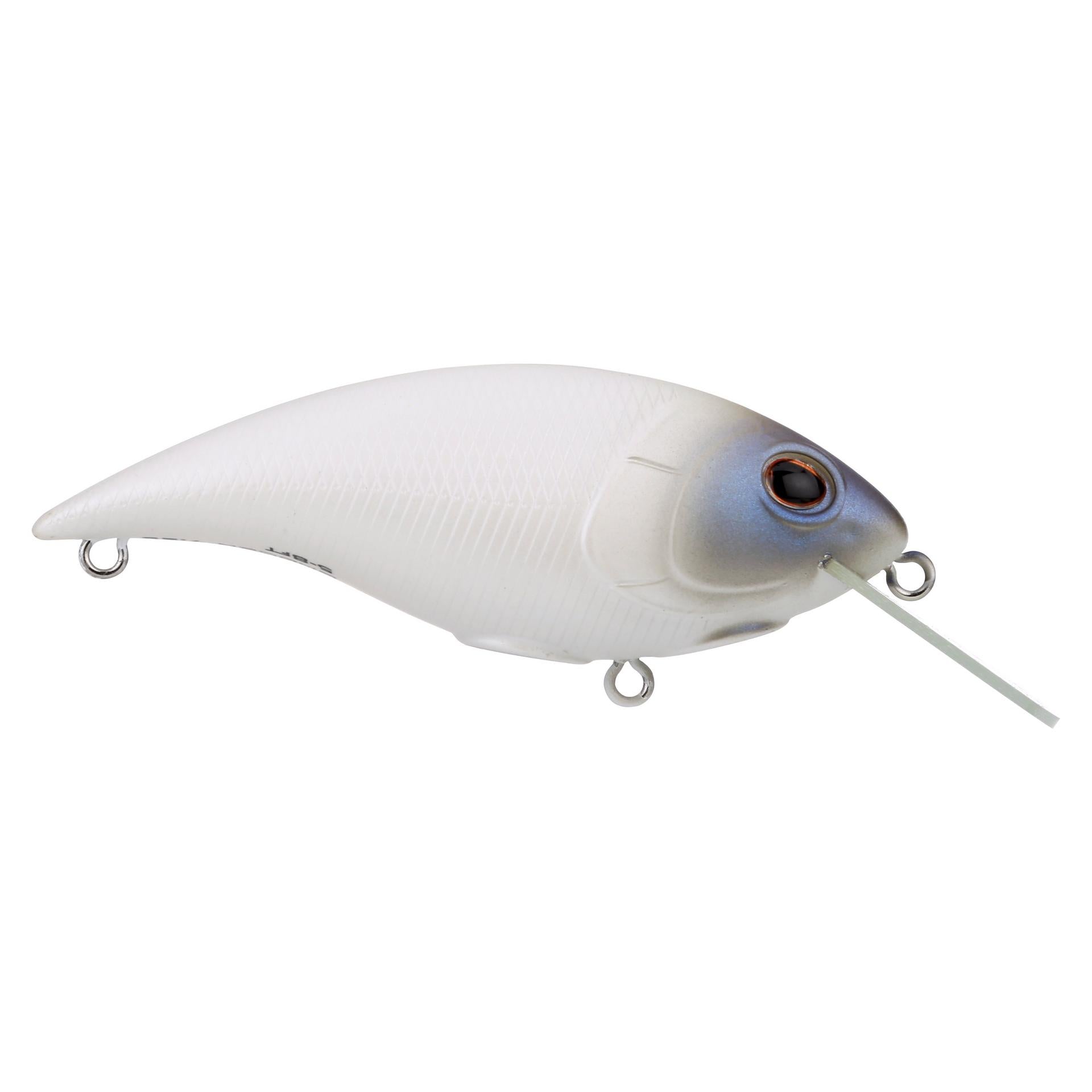 Shallow Money Badger| Berkley®
