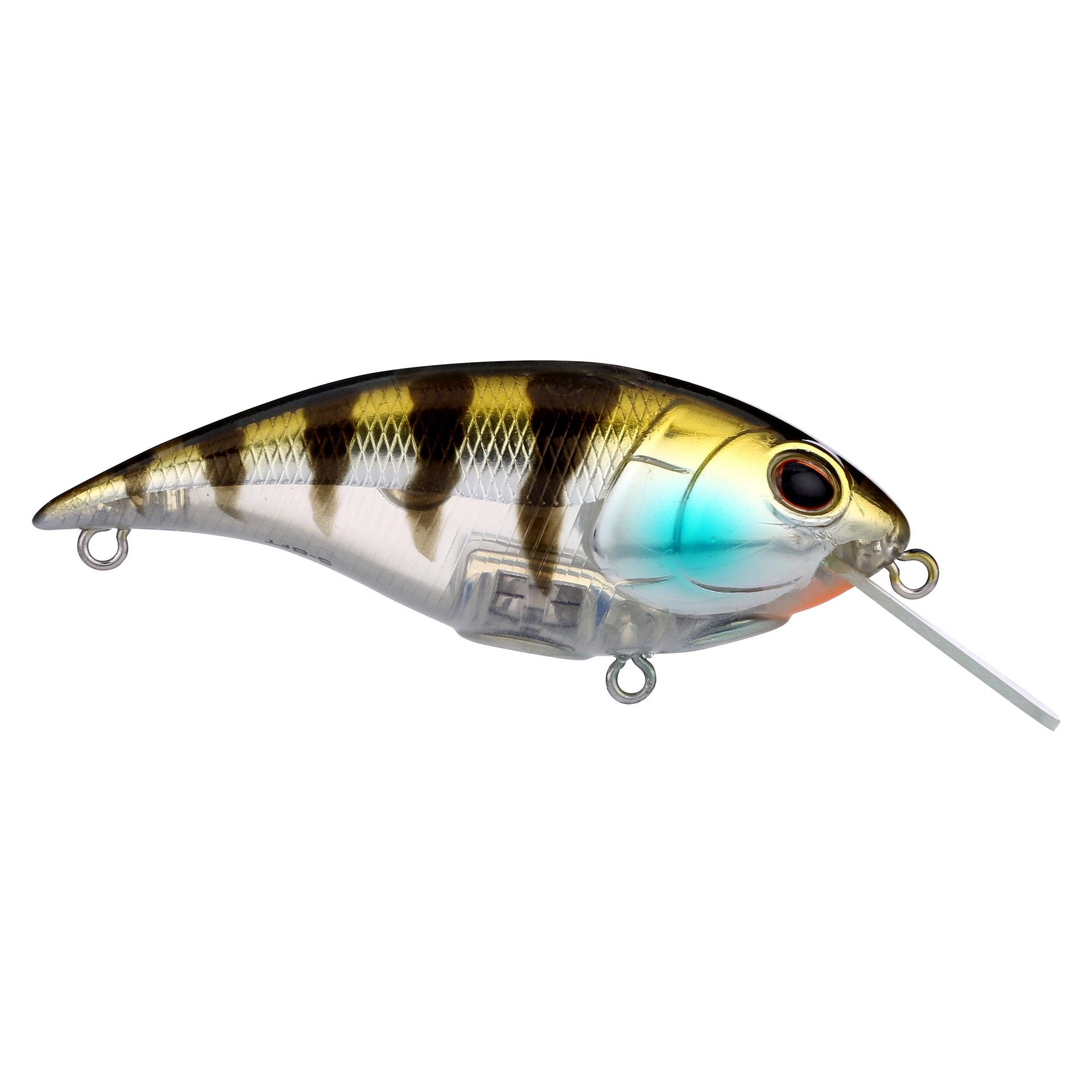 Shallow Money Badger| Berkley®