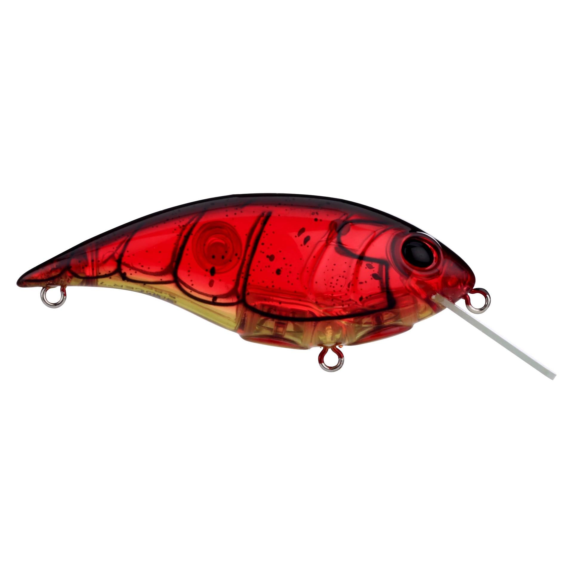 Shallow Money Badger| Berkley®