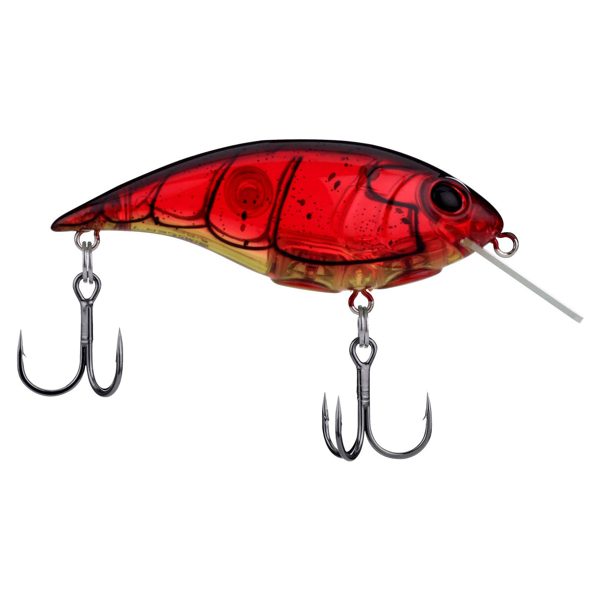 Berkley Shallow Money Badger