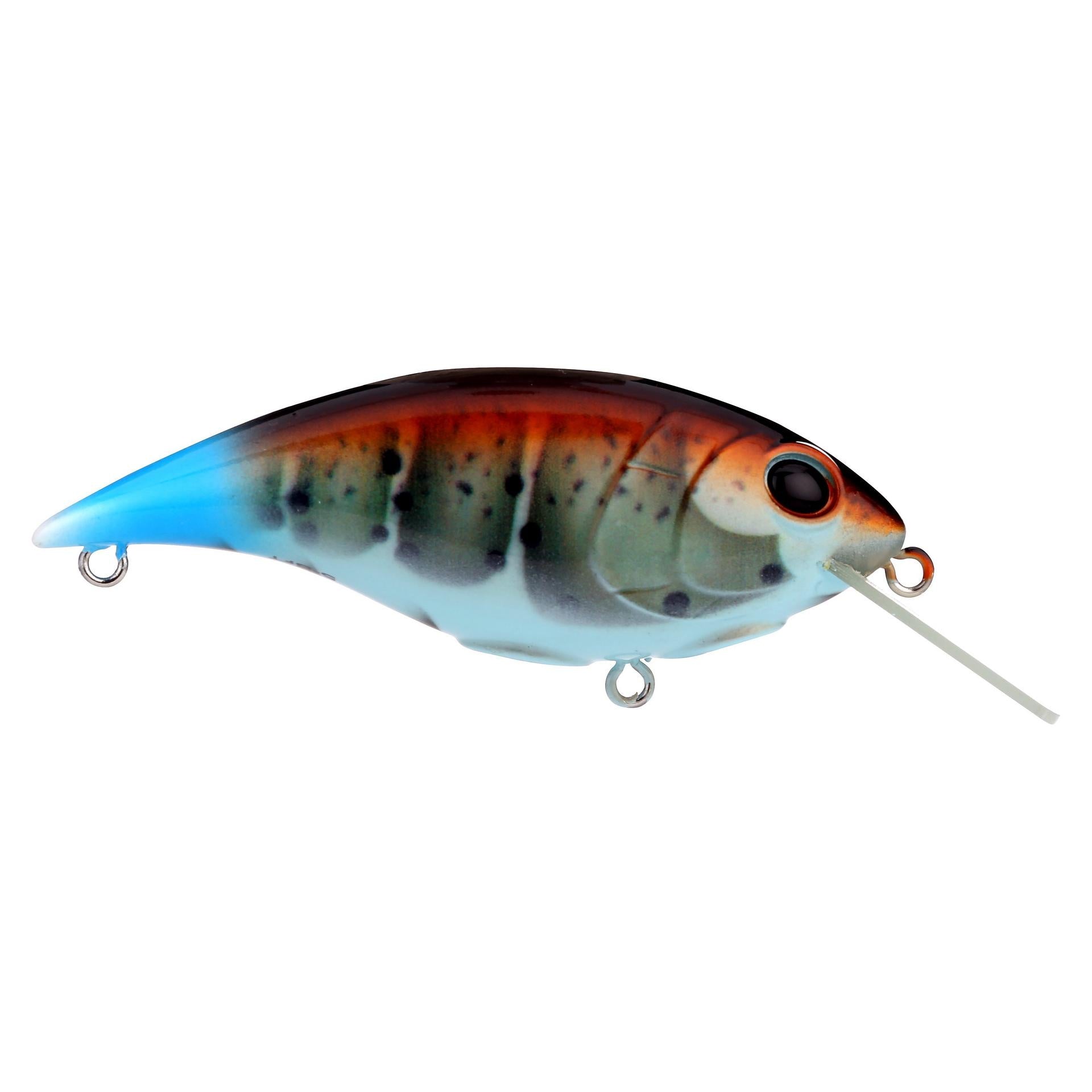 Shallow Money Badger| Berkley®