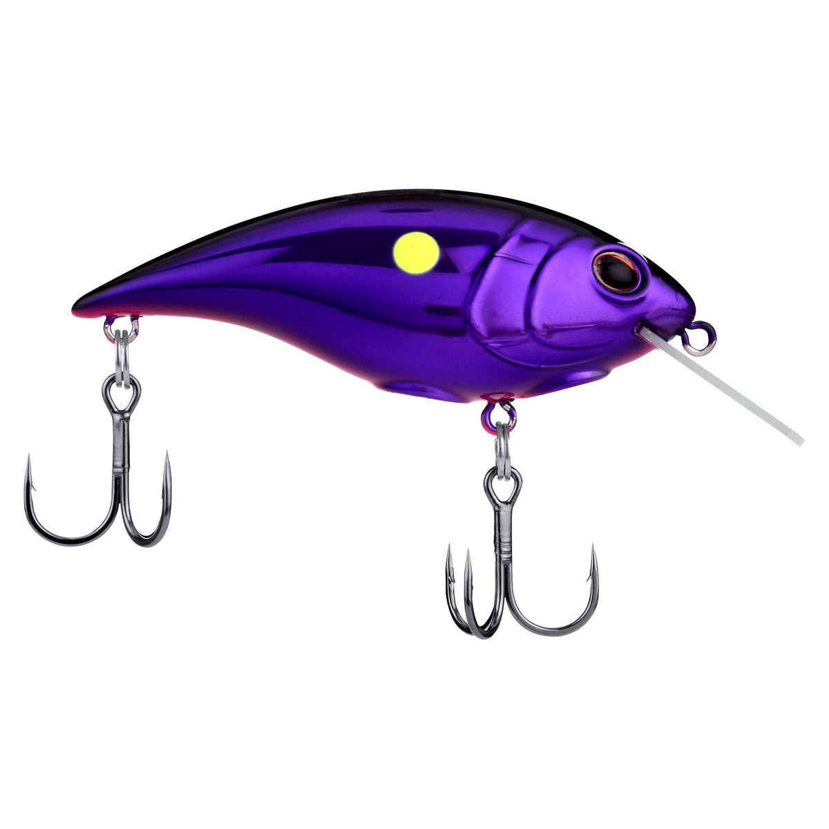 Berkley Shallow Money Badger