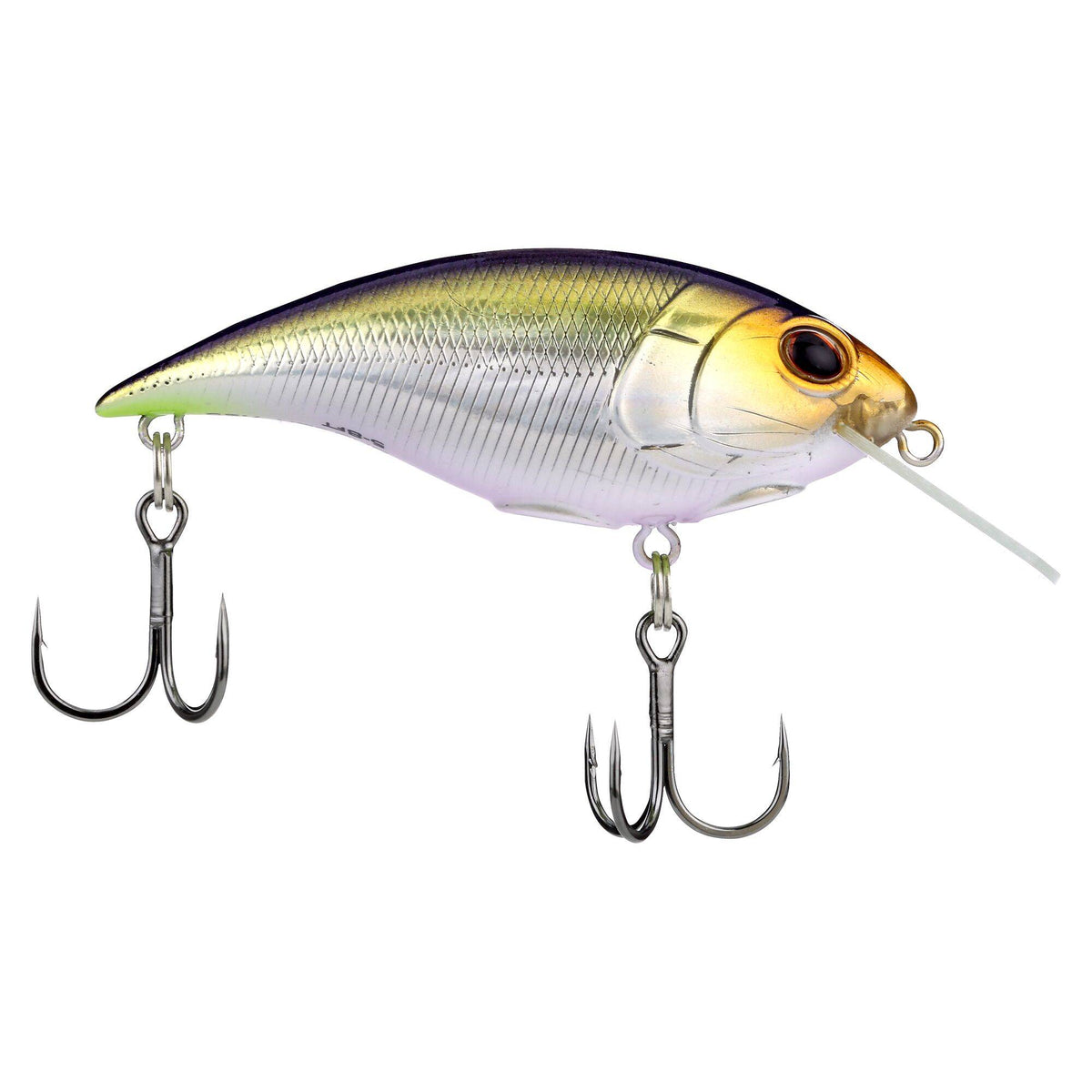 Berkley Shallow Money Badger