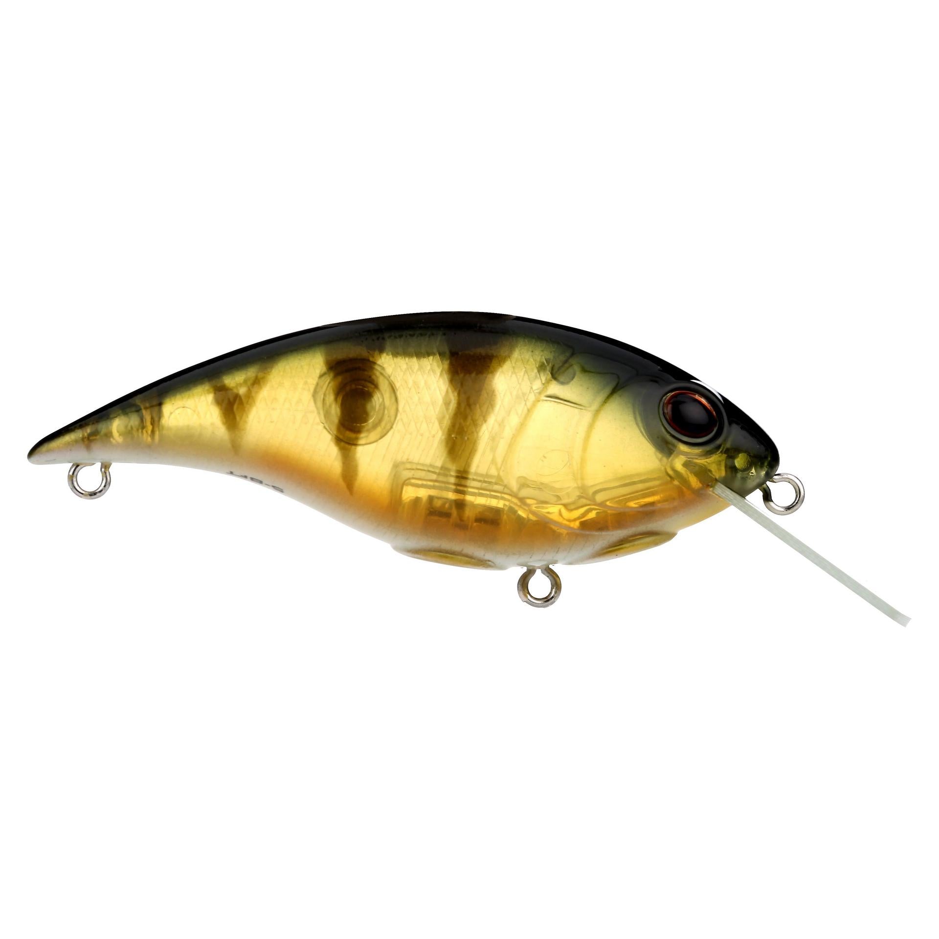 Shallow Money Badger| Berkley®