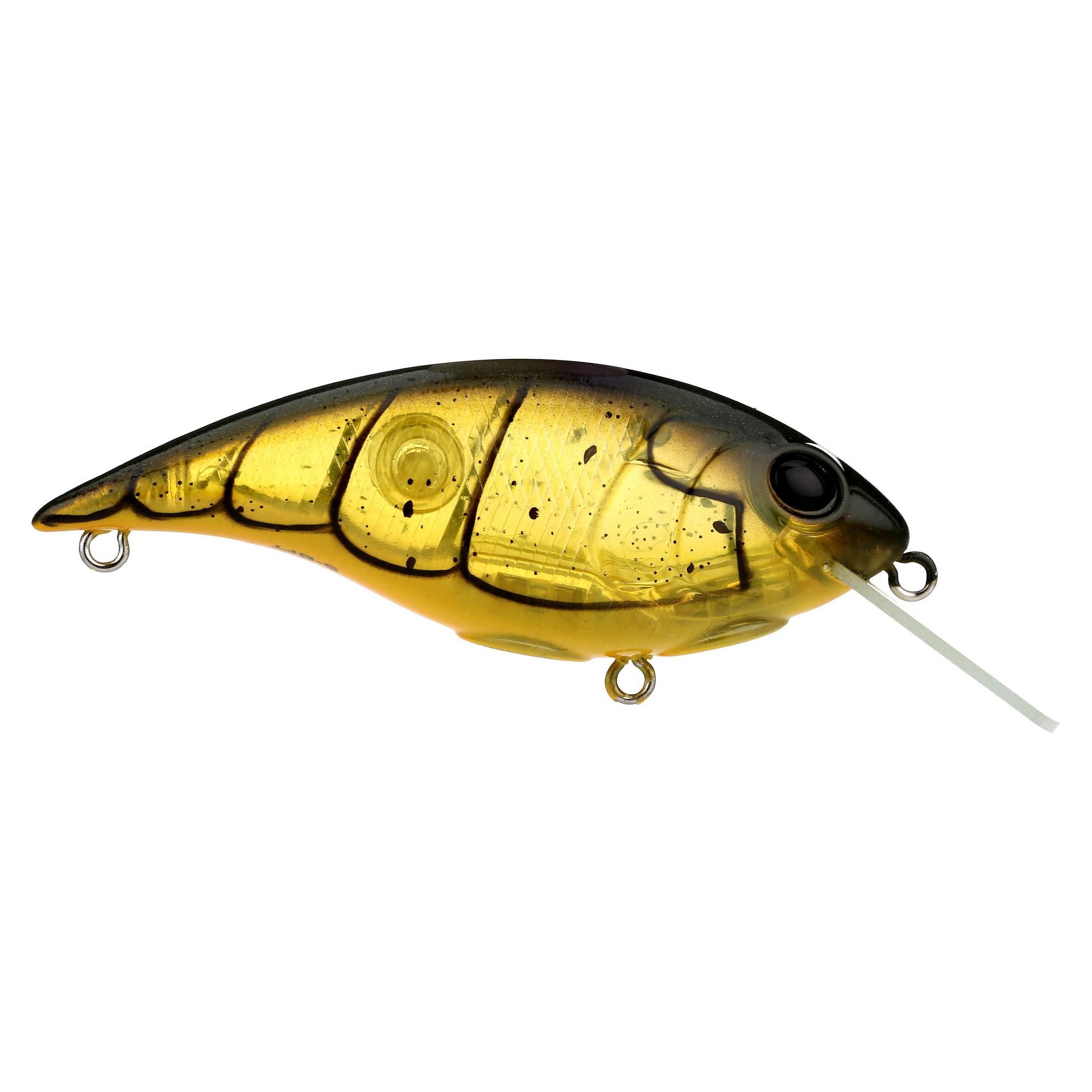 Shallow Money Badger| Berkley®
