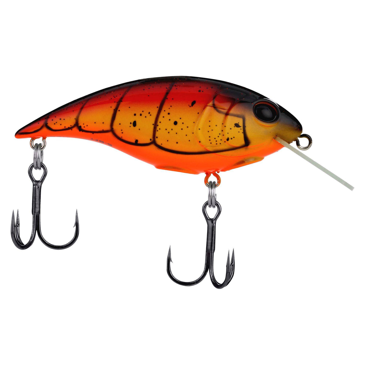 Berkley Shallow Money Badger