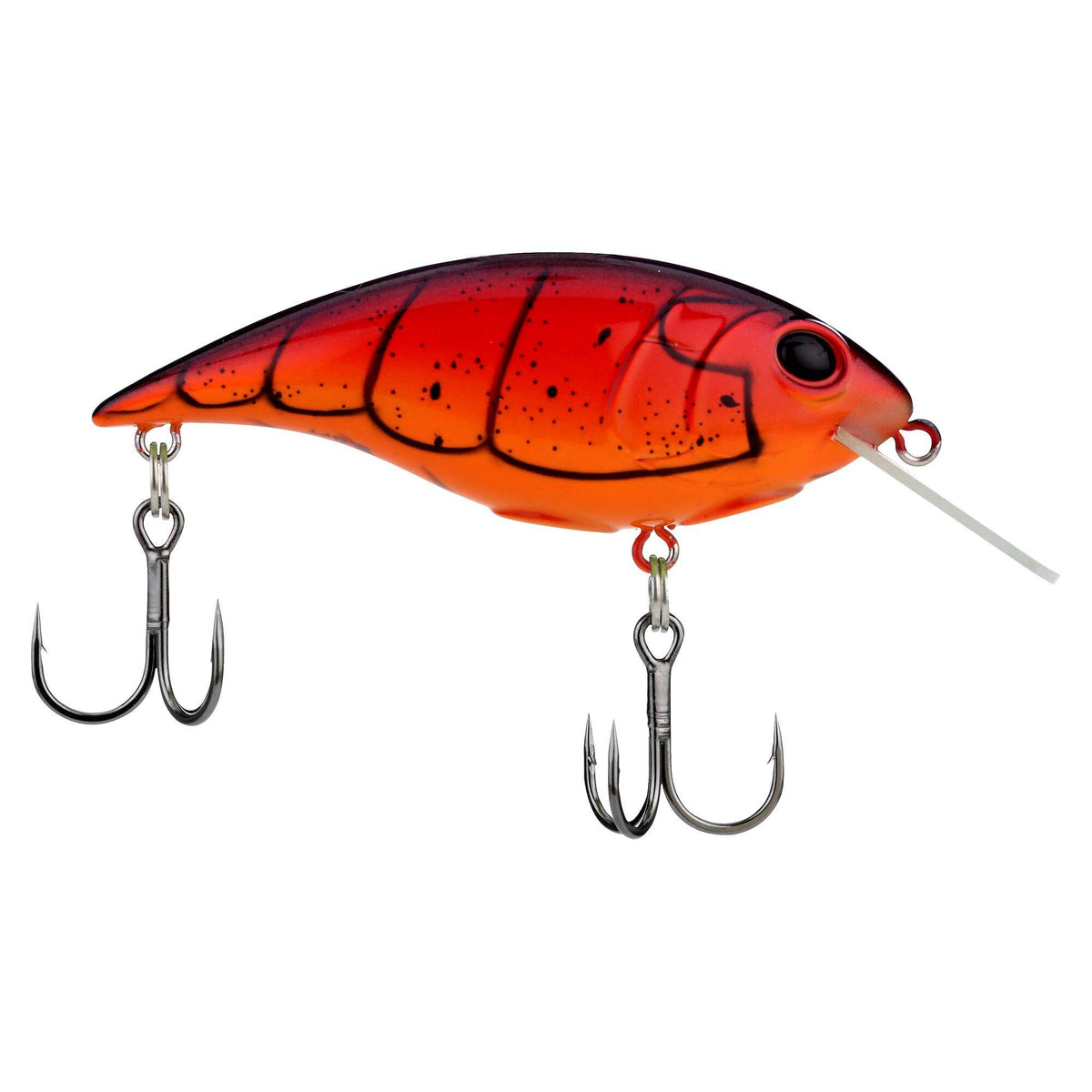 Berkley Shallow Money Badger