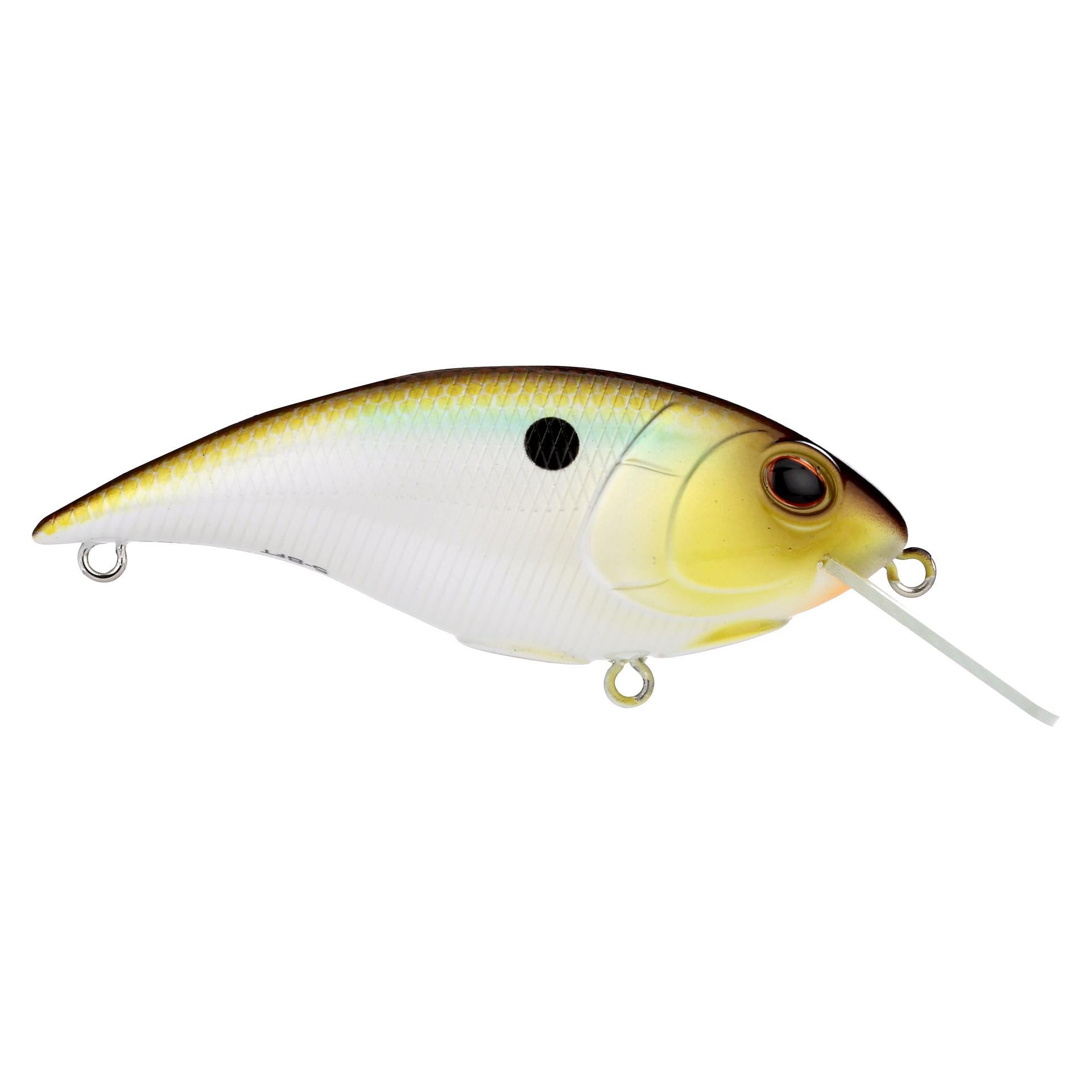 Shallow Money Badger| Berkley®