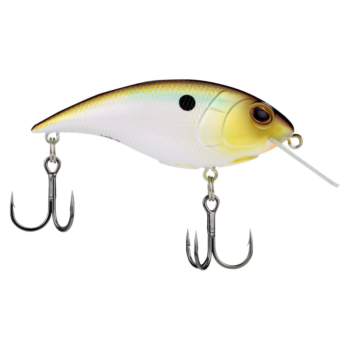 Berkley Shallow Money Badger