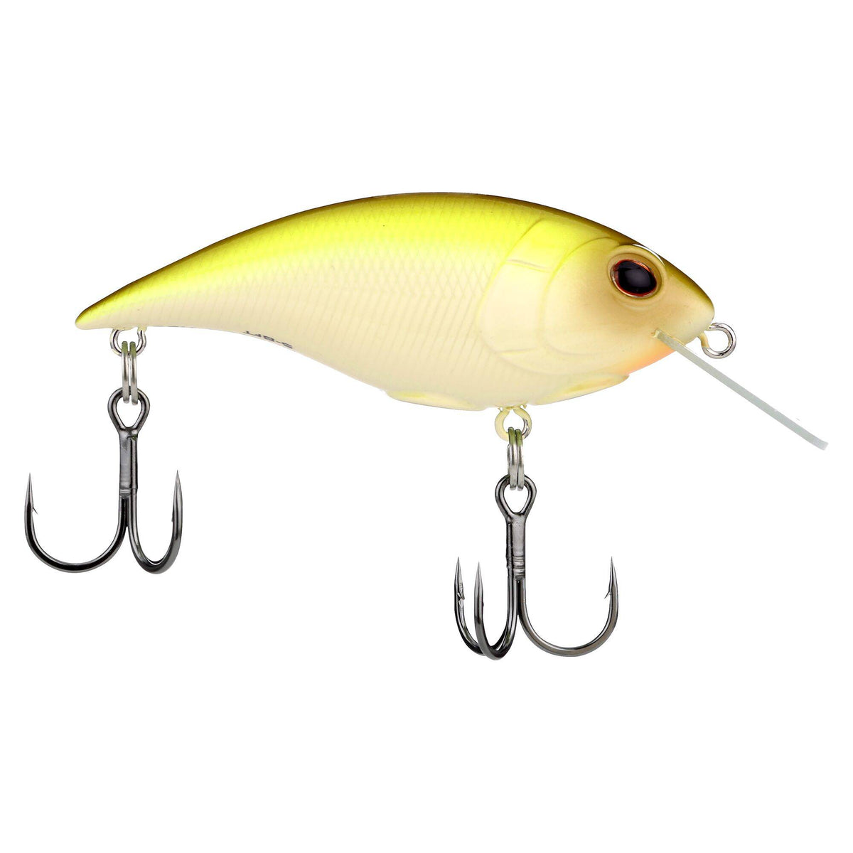 Berkley Shallow Money Badger