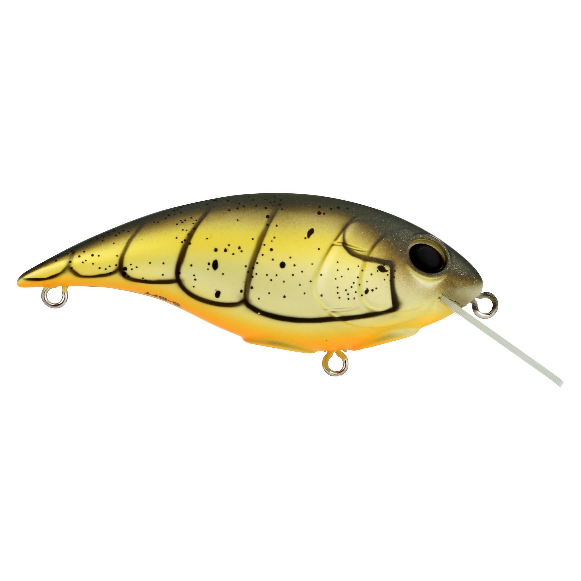 Shallow Money Badger| Berkley®