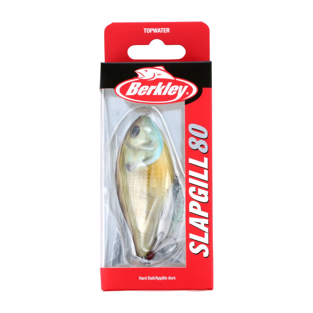 SlapGill