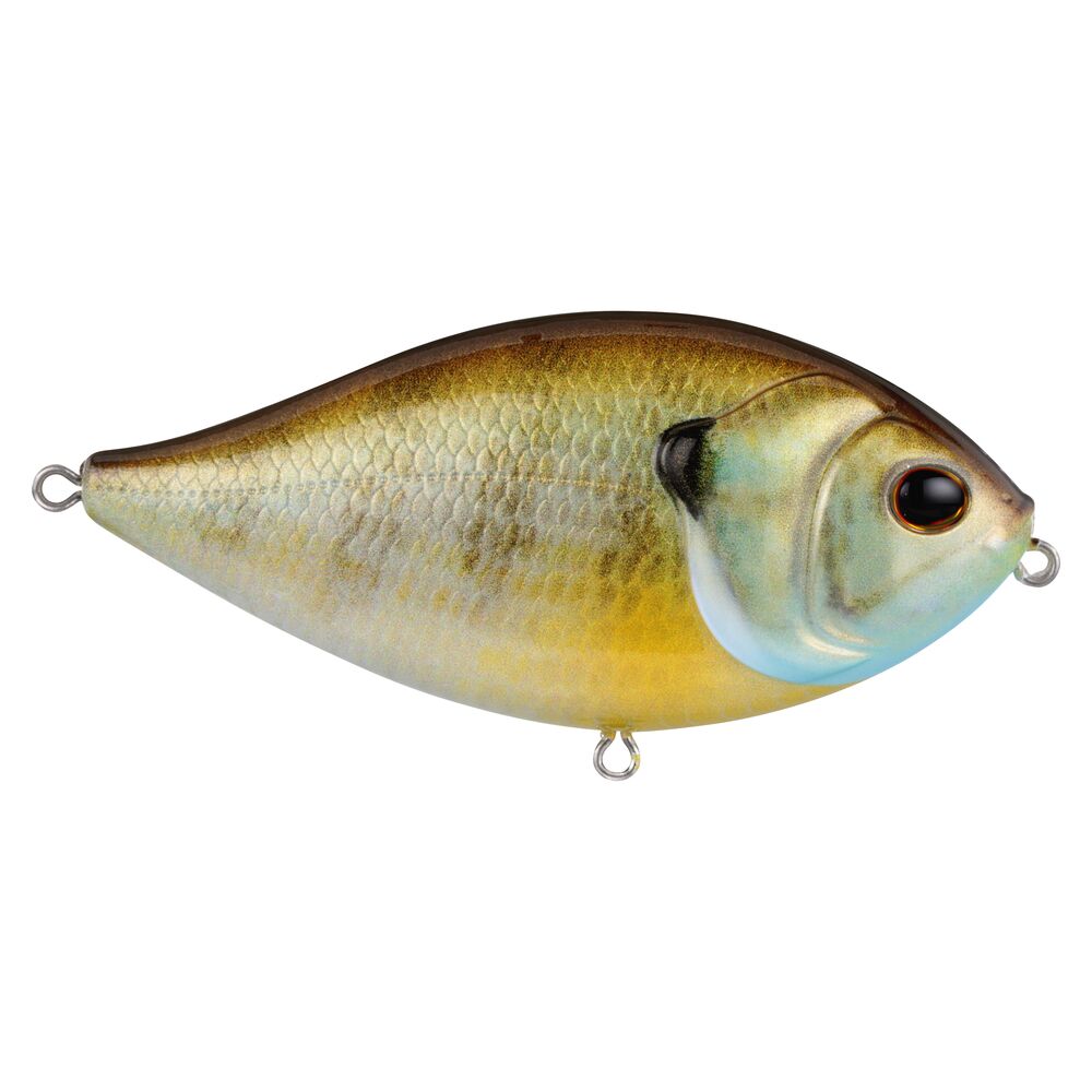SlapGill