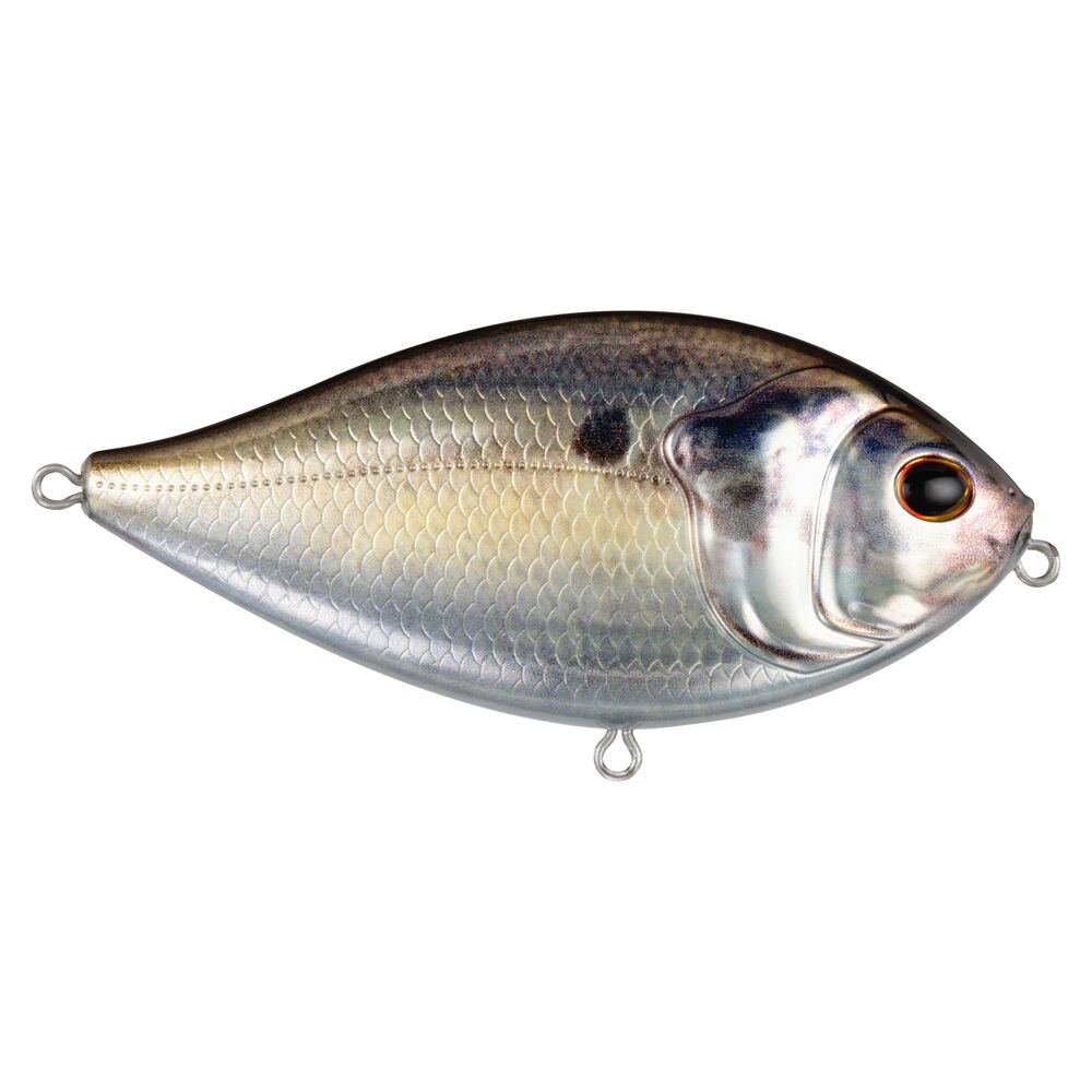 SlapGill