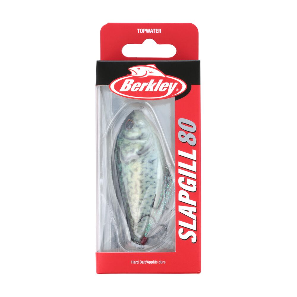 SlapGill