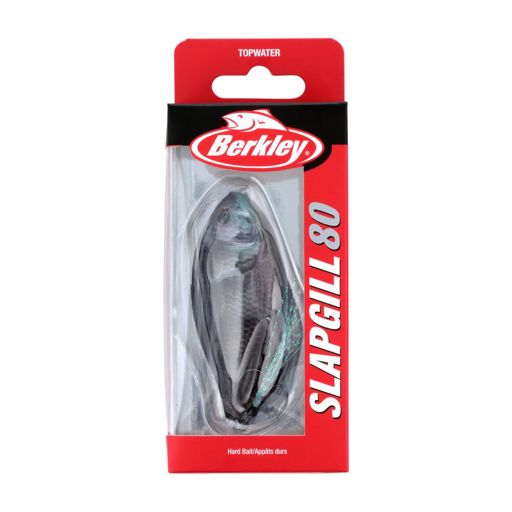 SlapGill