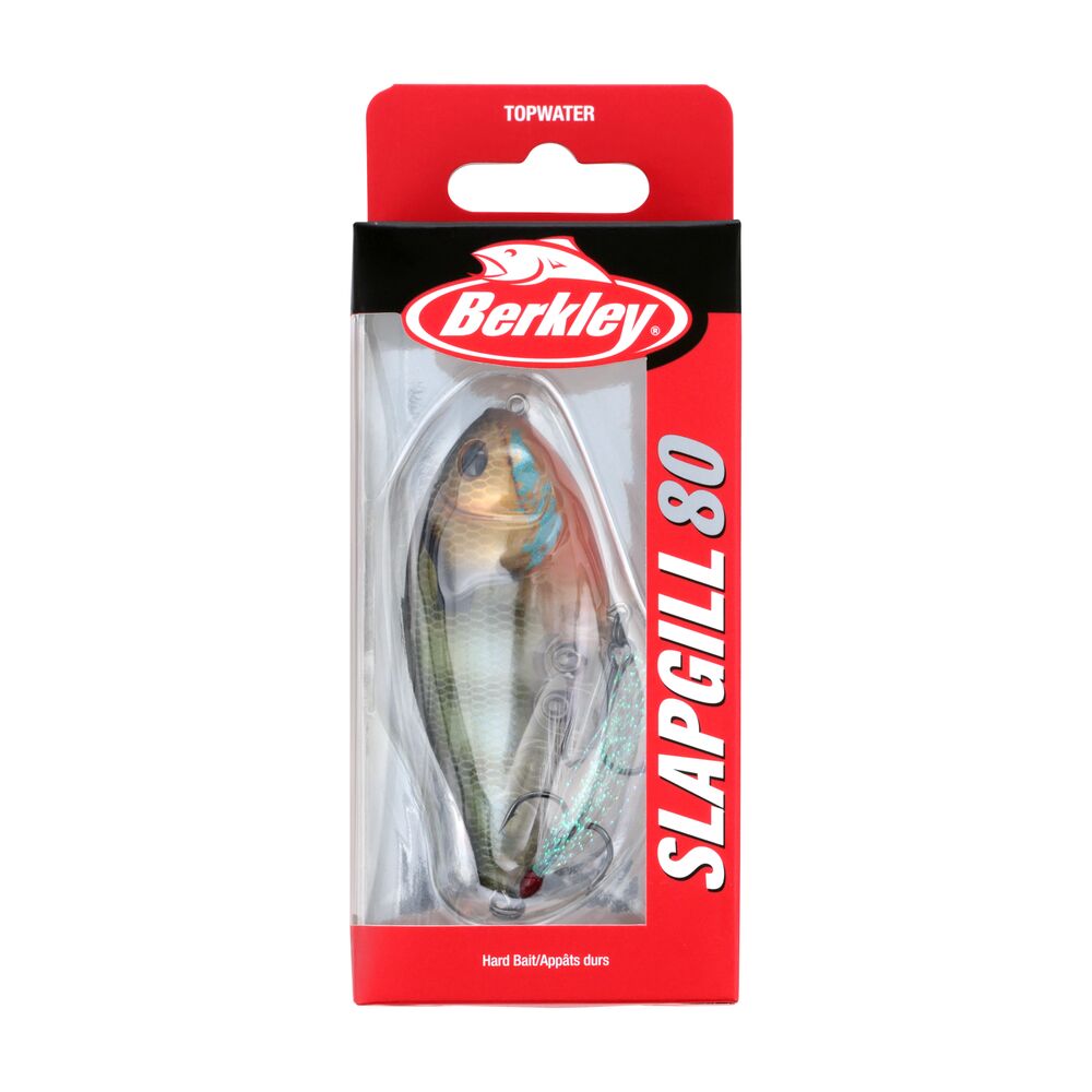 SlapGill