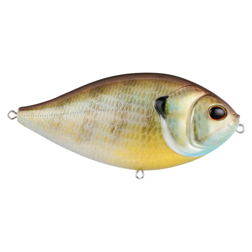 SlapGill