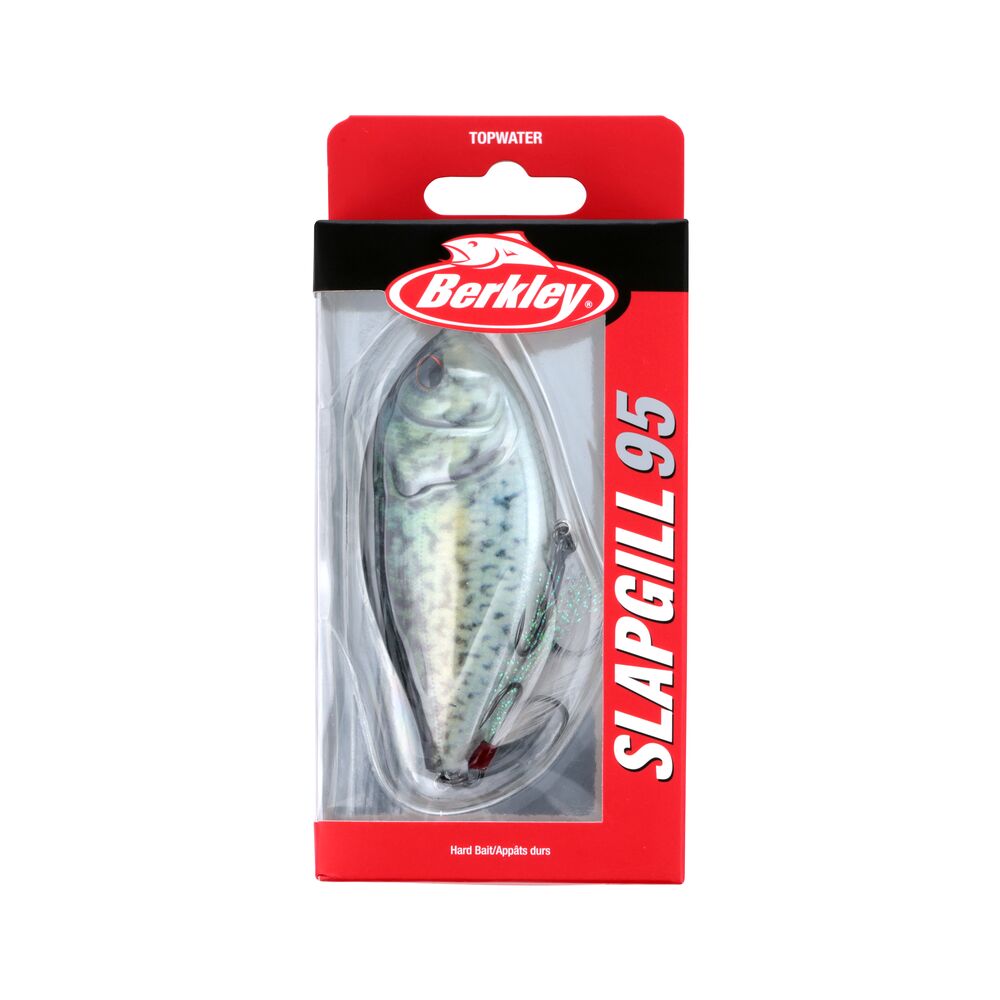 SlapGill