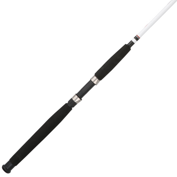 big lots fishing poles Berkley Big Game Spinning Rod
