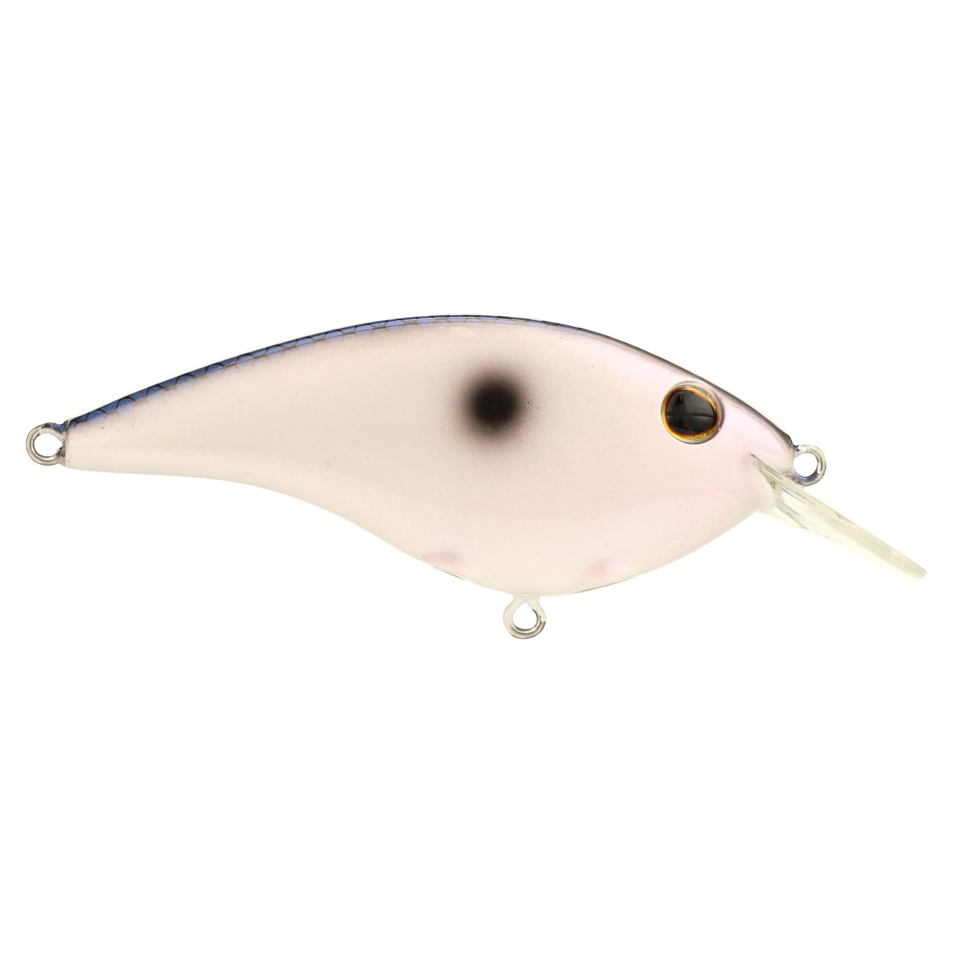 Berkley ClickinFrittside 5Biggun KentuckyBlue alt1 | Berkley Fishing