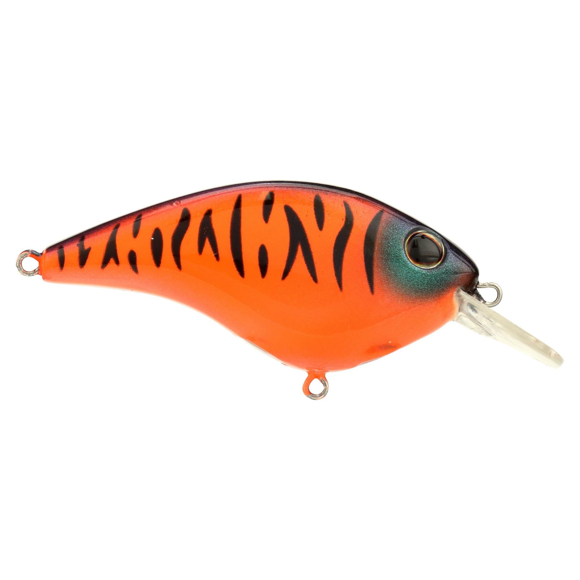 Berkley ClickinFrittside 5 Blaze alt1 | Berkley Fishing