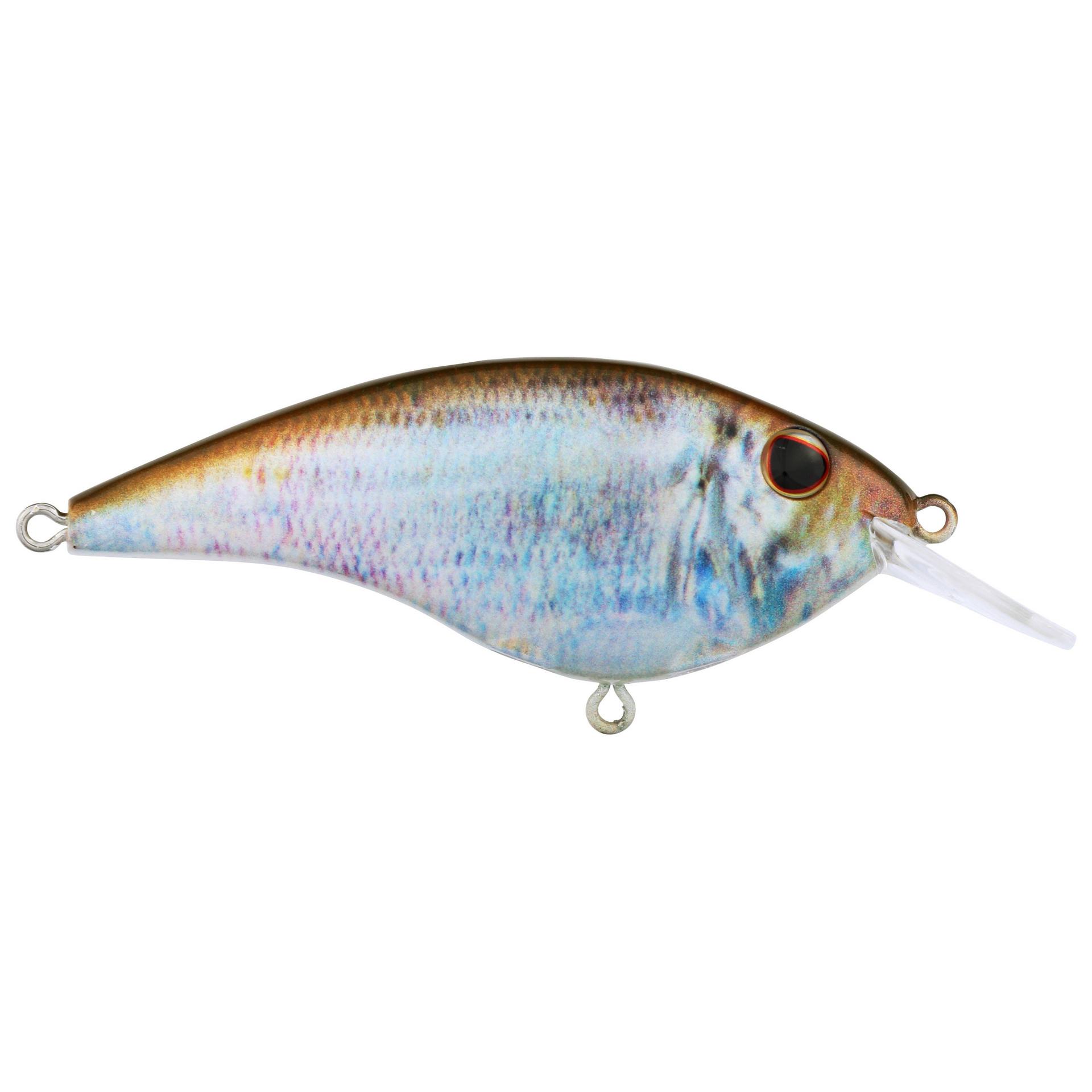 Berkley Frittside HDBluebackHerring 5Biggun alt1 | Berkley Fishing