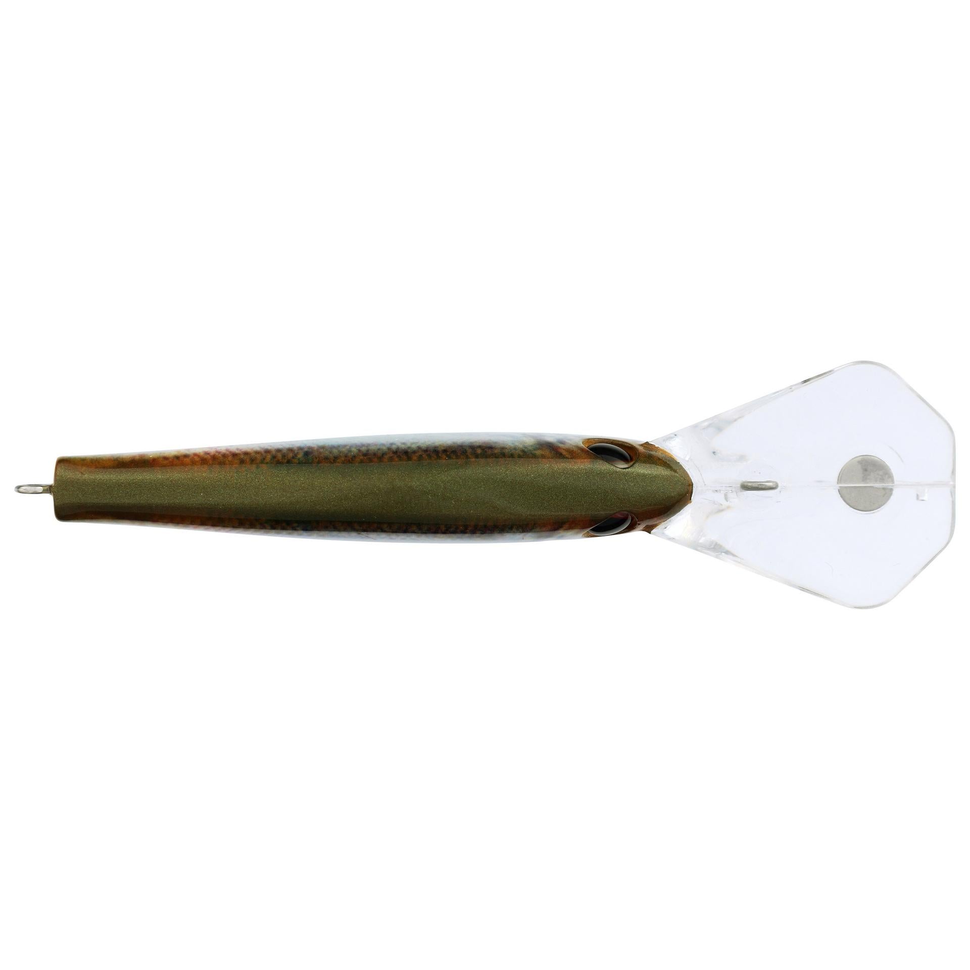 Berkley Frittside HDBluebackHerring 9 alt3 | Berkley Fishing