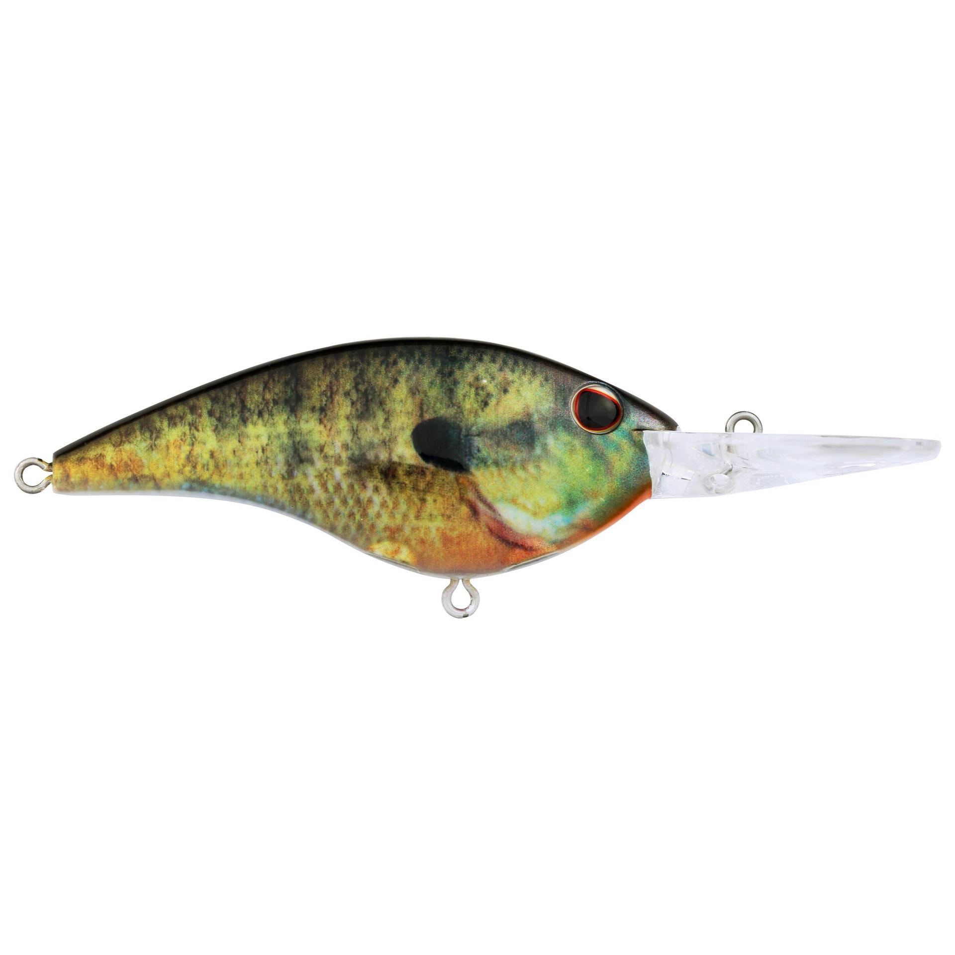 Berkley Frittside HDBluegill 9 alt1 | Berkley Fishing