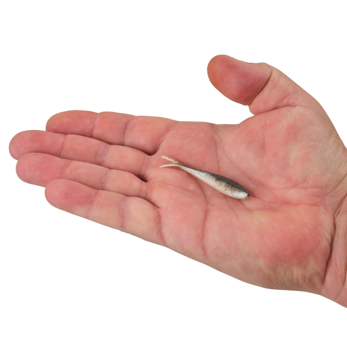 Berkley Gulp! Alive!® Minnow