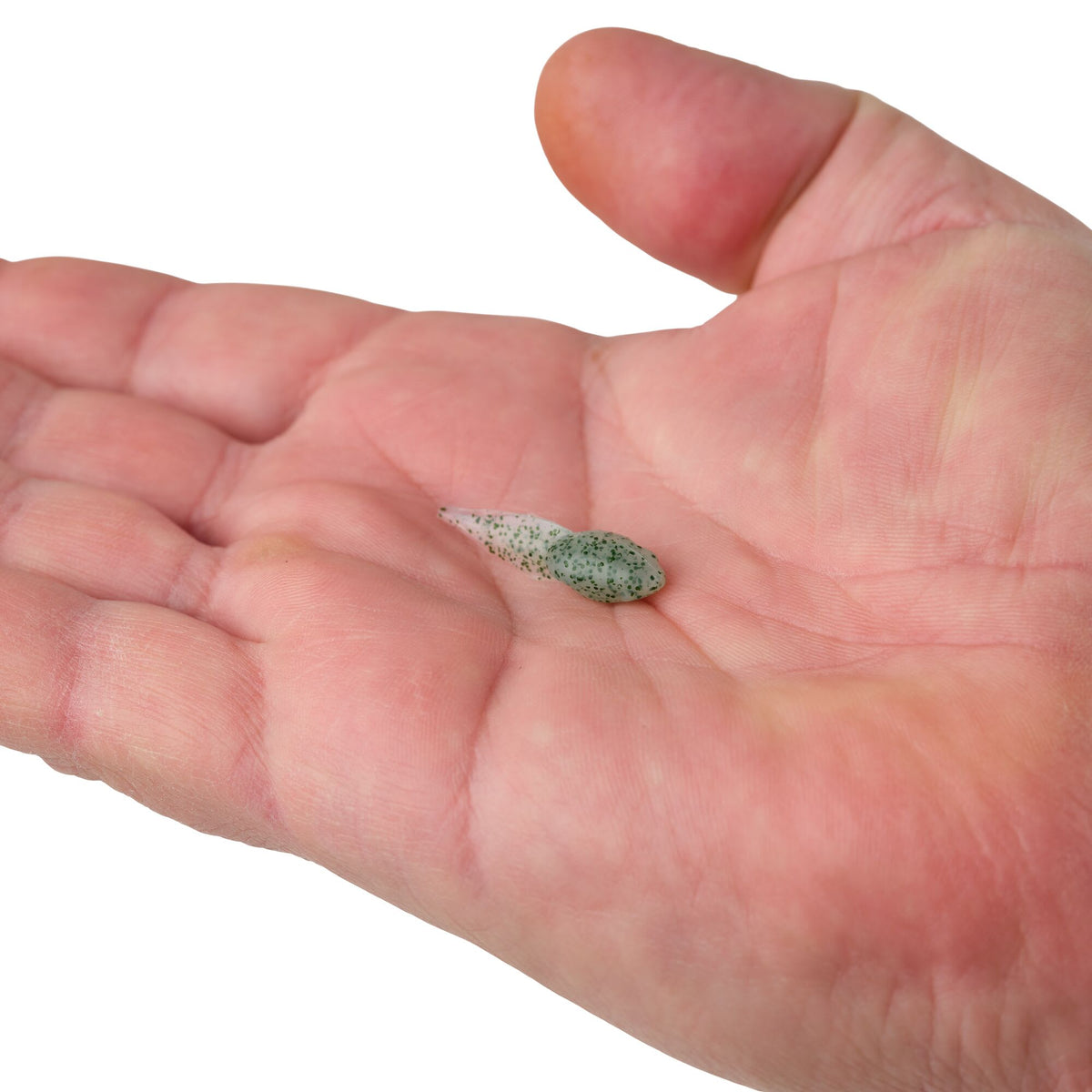 Berkley Gulp! Alive!® Tadpole