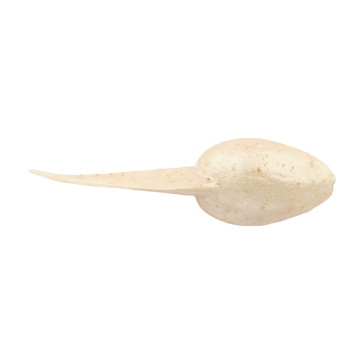 Berkley Gulp! Alive!® Tadpole