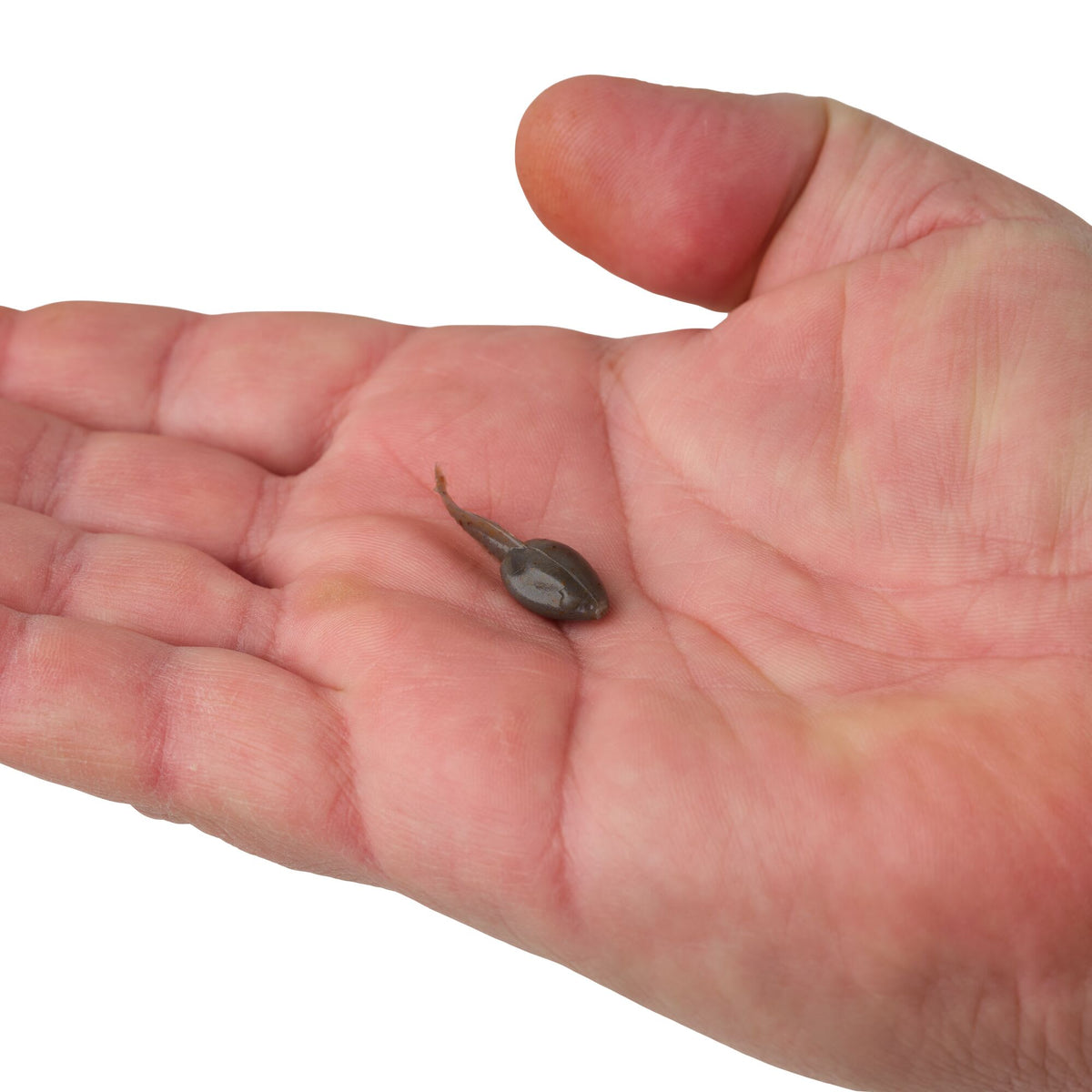 Berkley Gulp! Alive!® Tadpole