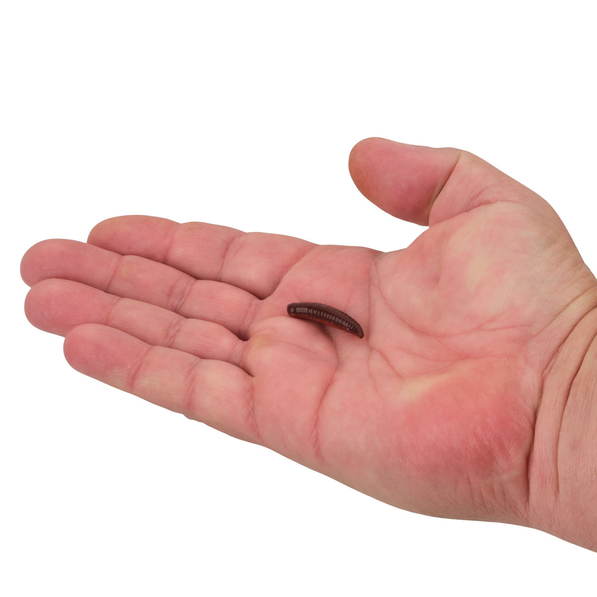 Berkley Gulp!® Pinched Crawler