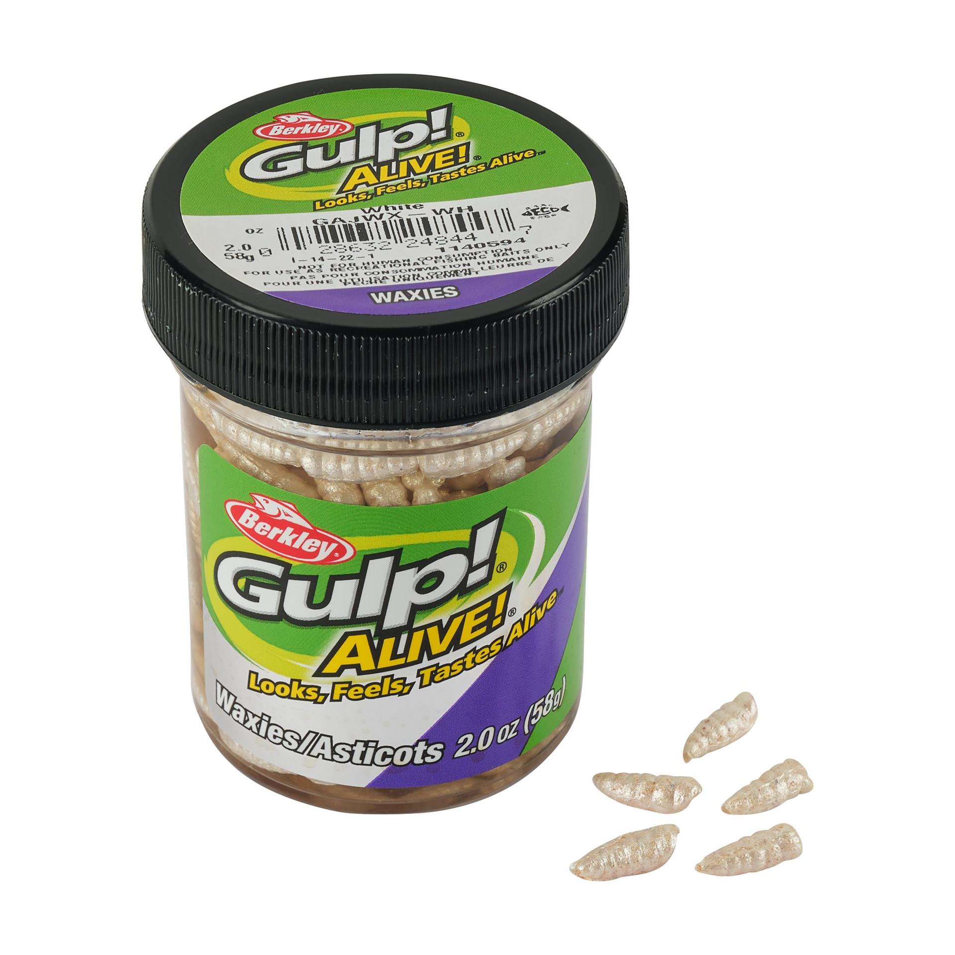 Berkley Gulp!Alive!Waxies White 0.5in PKG | Berkley Fishing