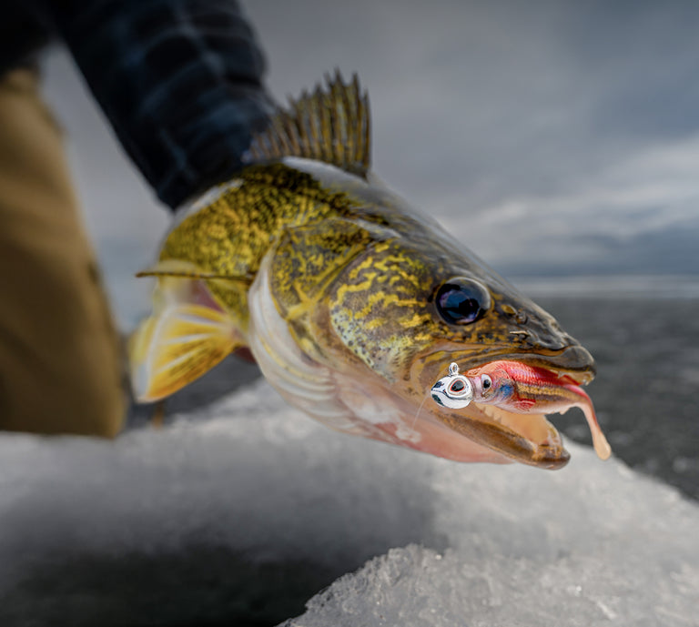 Fish with a lure in its mouth on a snowy surface