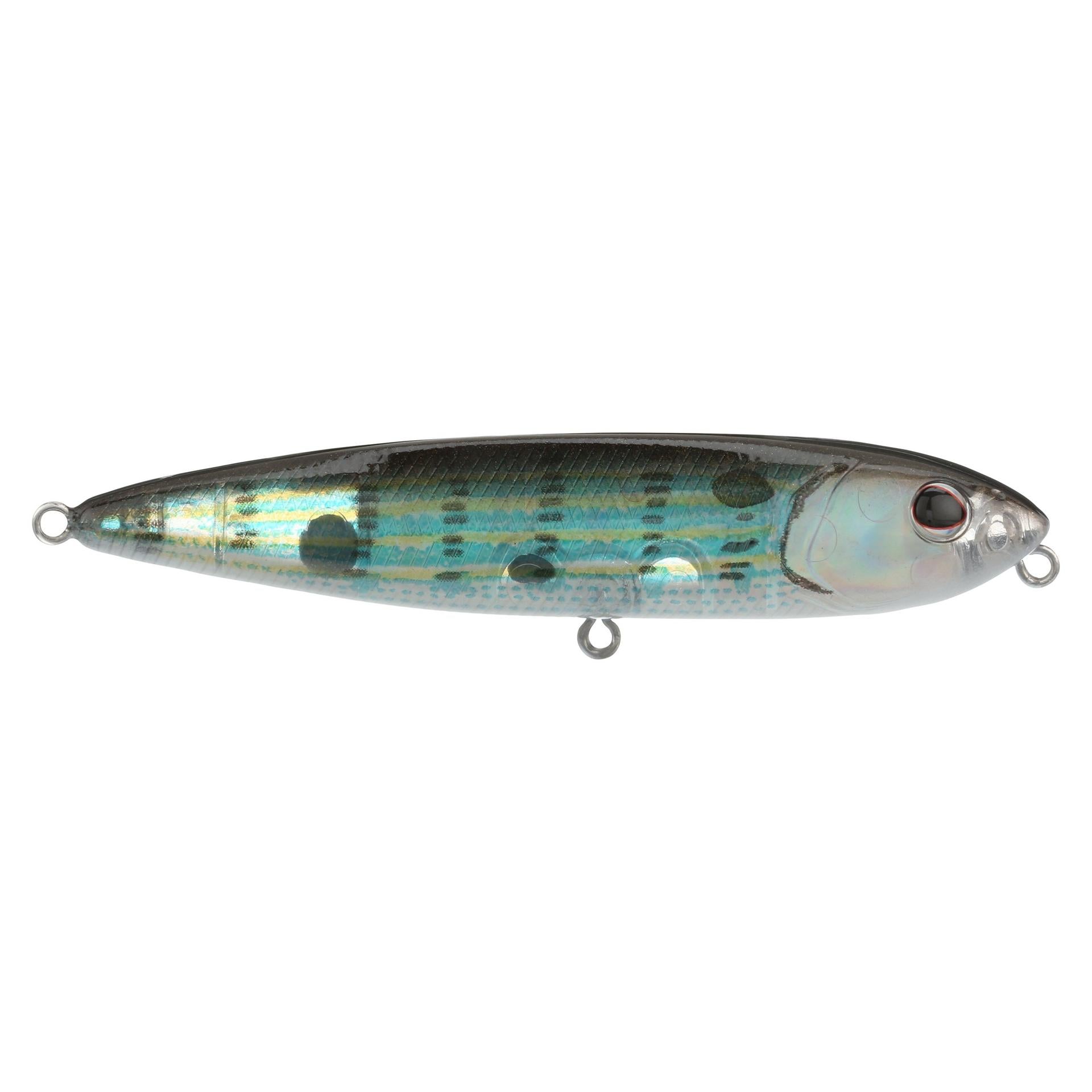 Berkley J-WalkerSaltwater 90 Pinfish alt1 | Berkley Fishing