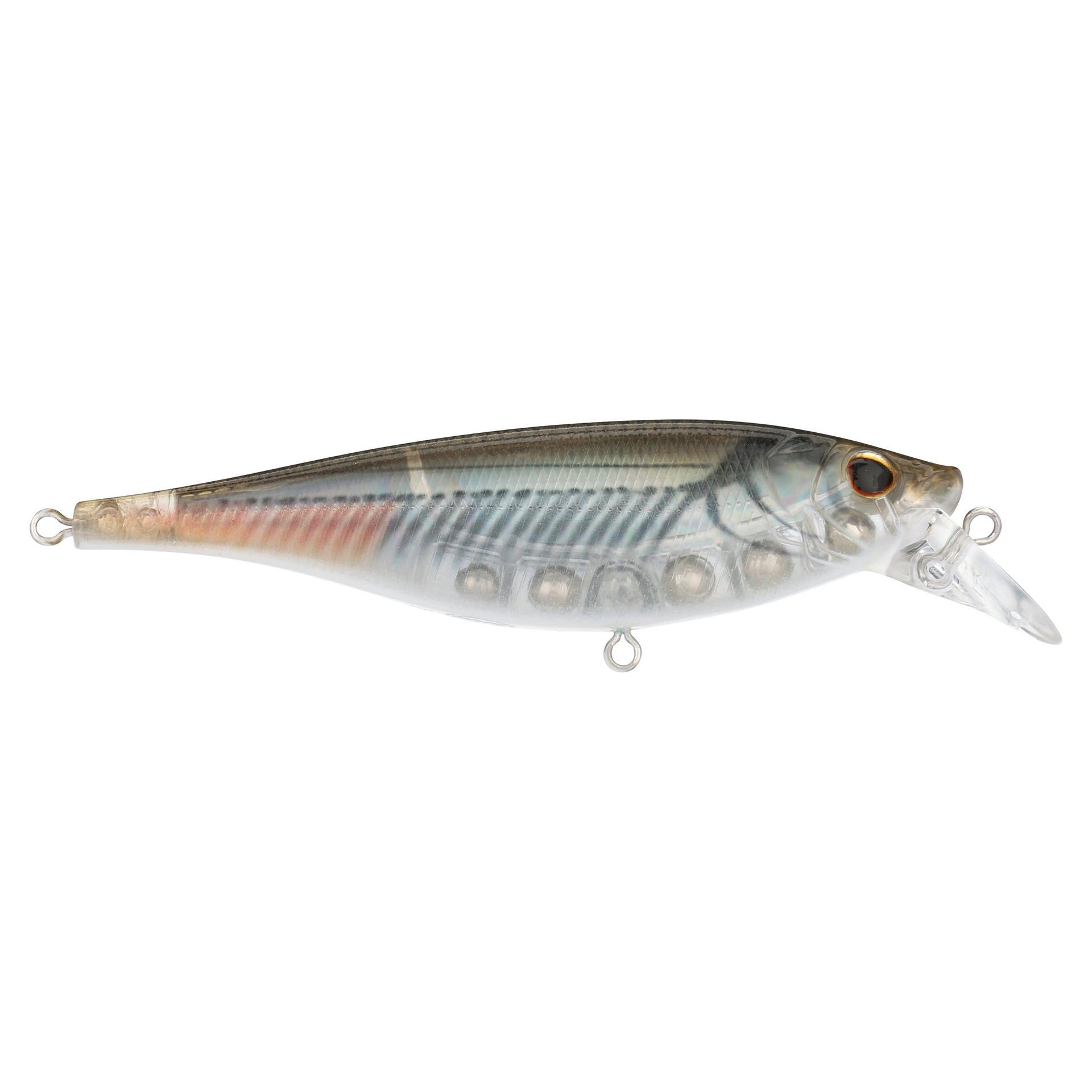 Berkley JukeSaltwater 100 MangroveMinnow alt1 | Berkley Fishing