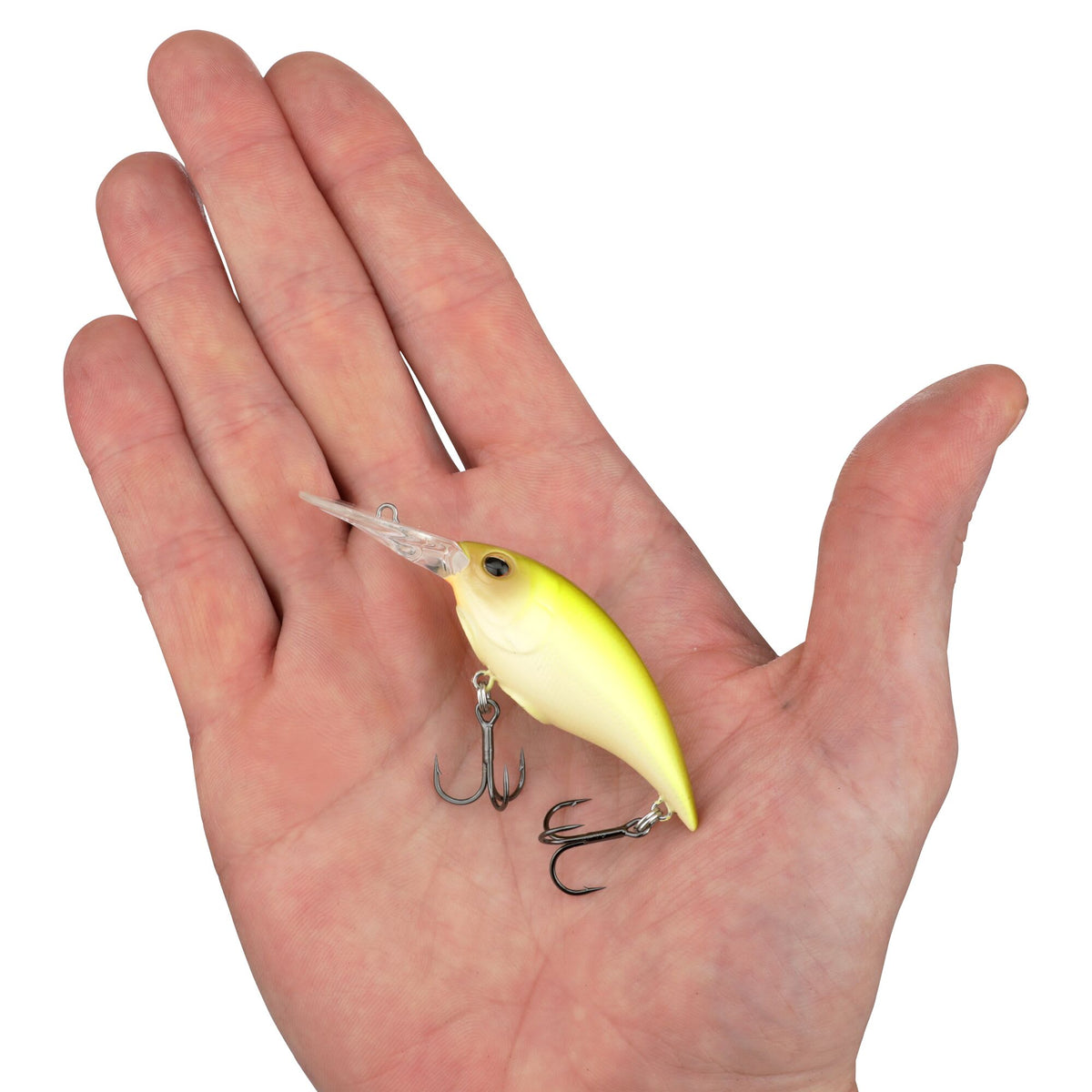 Berkley Money Badger