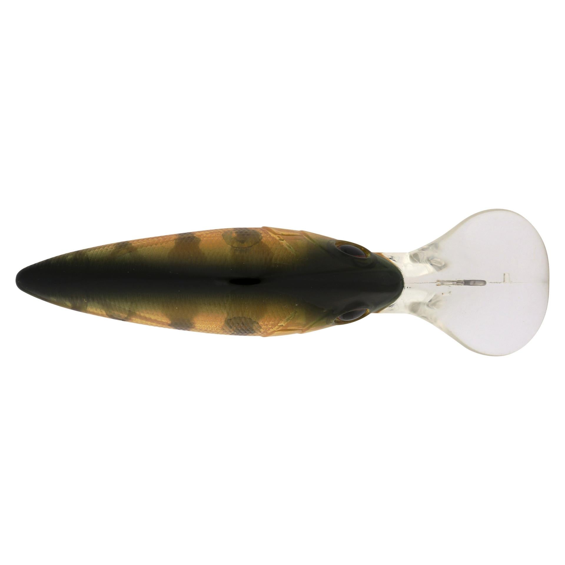 Berkley MoneyBadger 675 Perch alt3 | Berkley Fishing