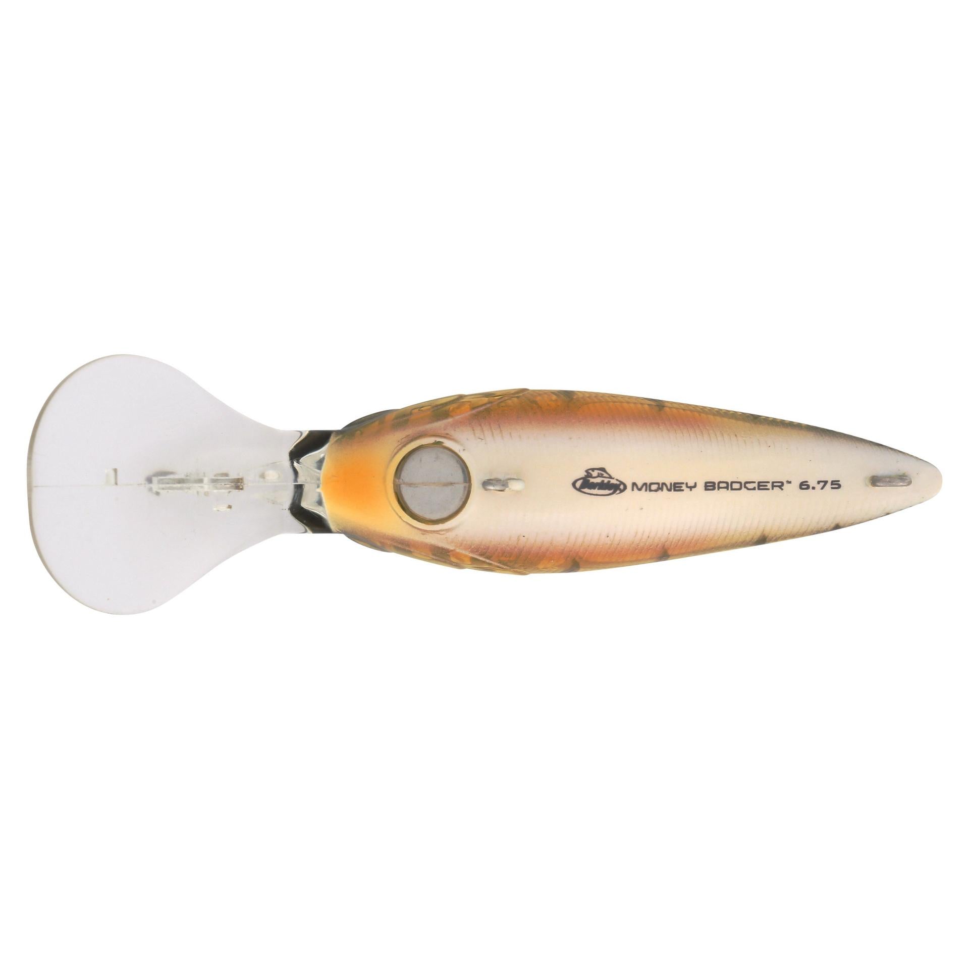 Berkley MoneyBadger 675 Perch alt4 | Berkley Fishing