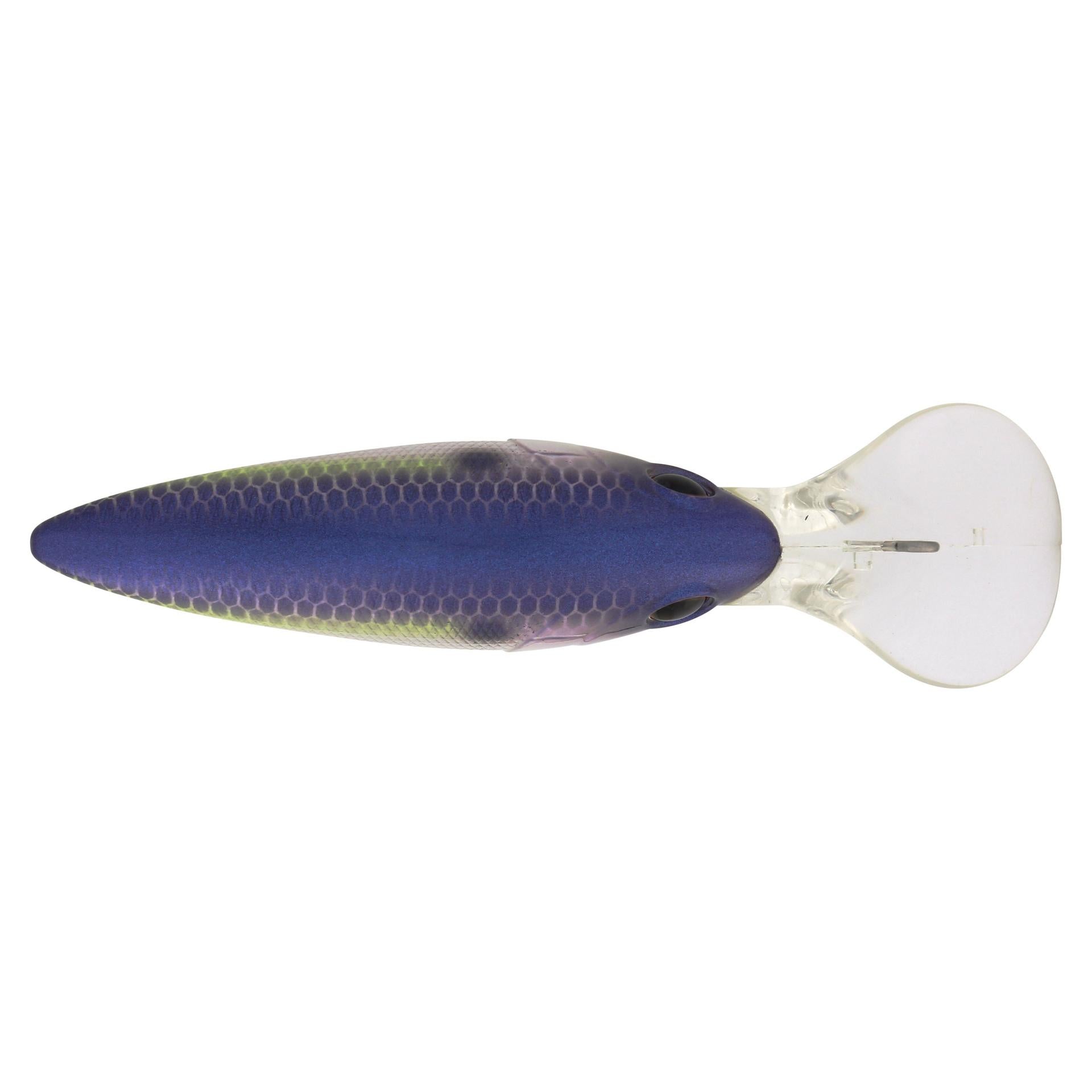 Berkley MoneyBadger 675 PurpleGlimmer alt3 | Berkley Fishing