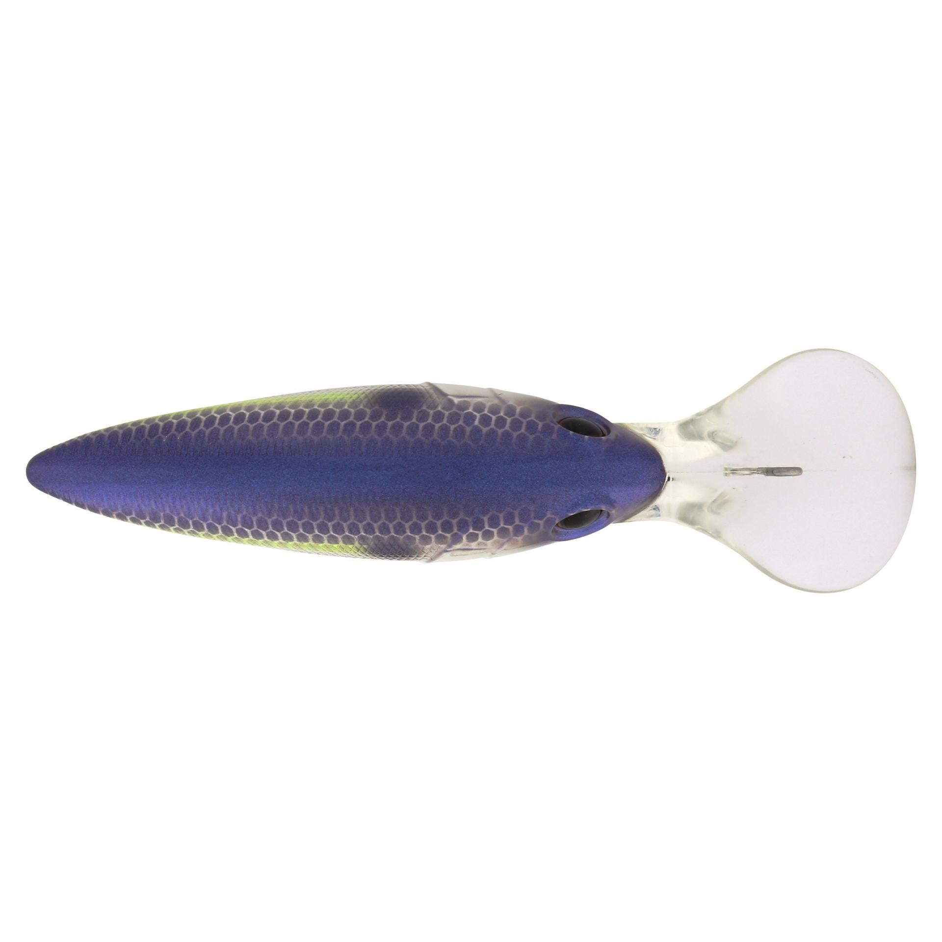 Berkley MoneyBadger 725 PurpleGlimmer alt3 | Berkley Fishing